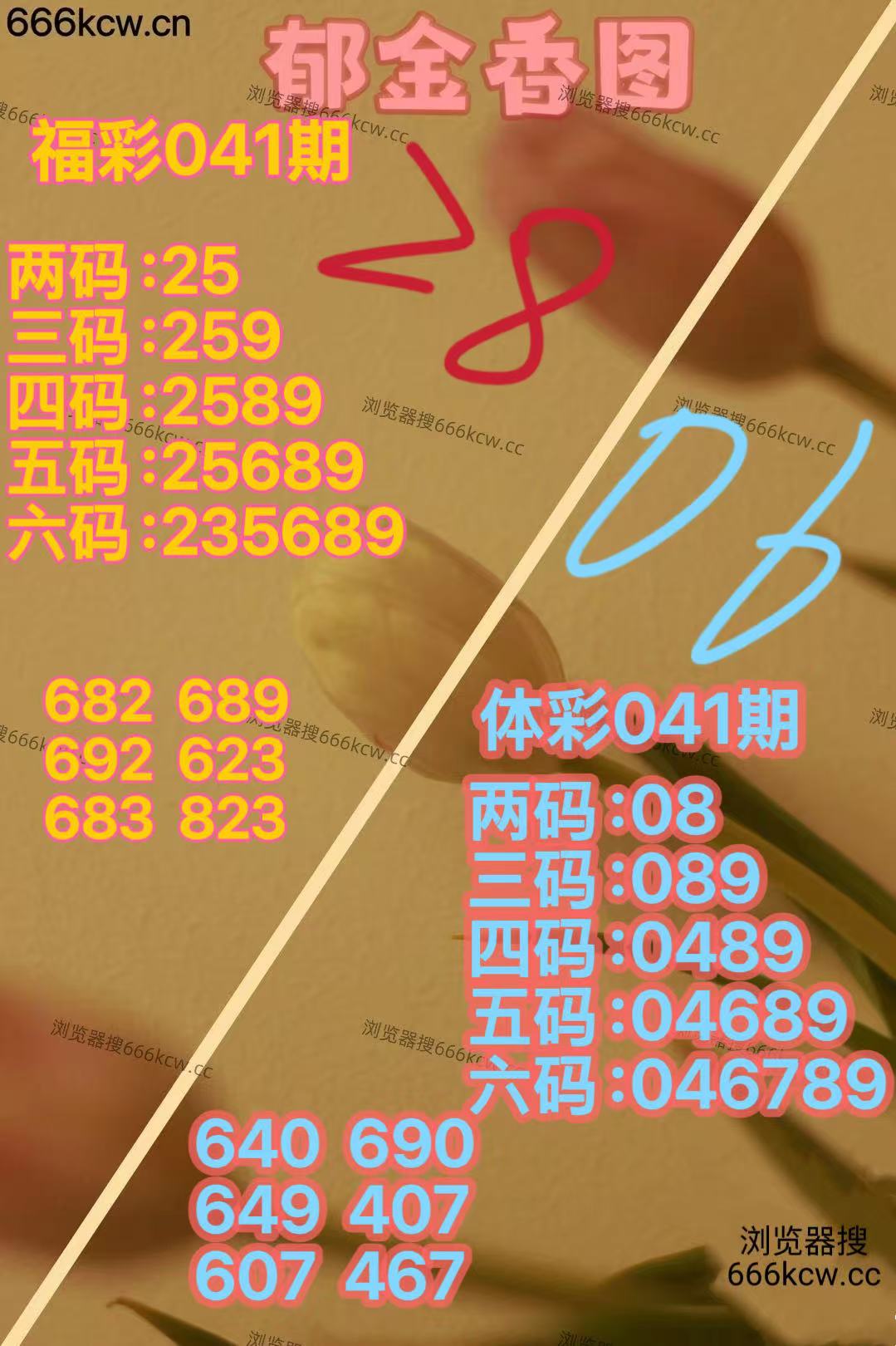 20260210 (23)