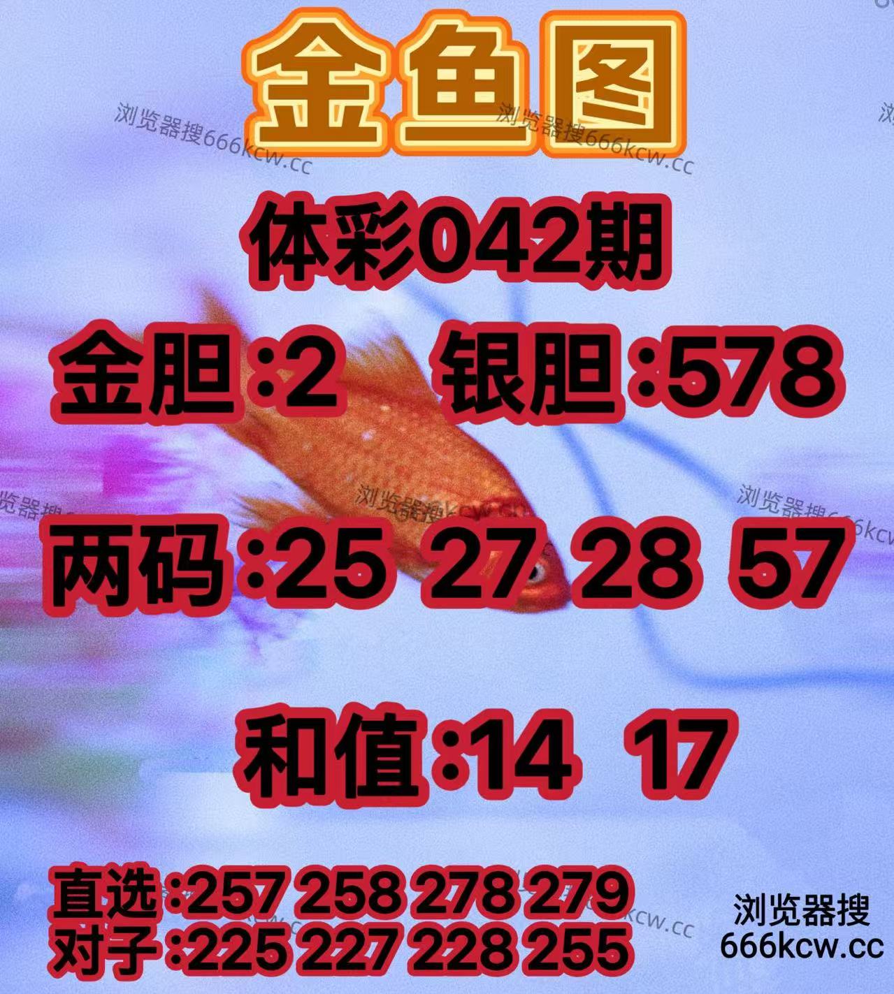 20260211 (8)