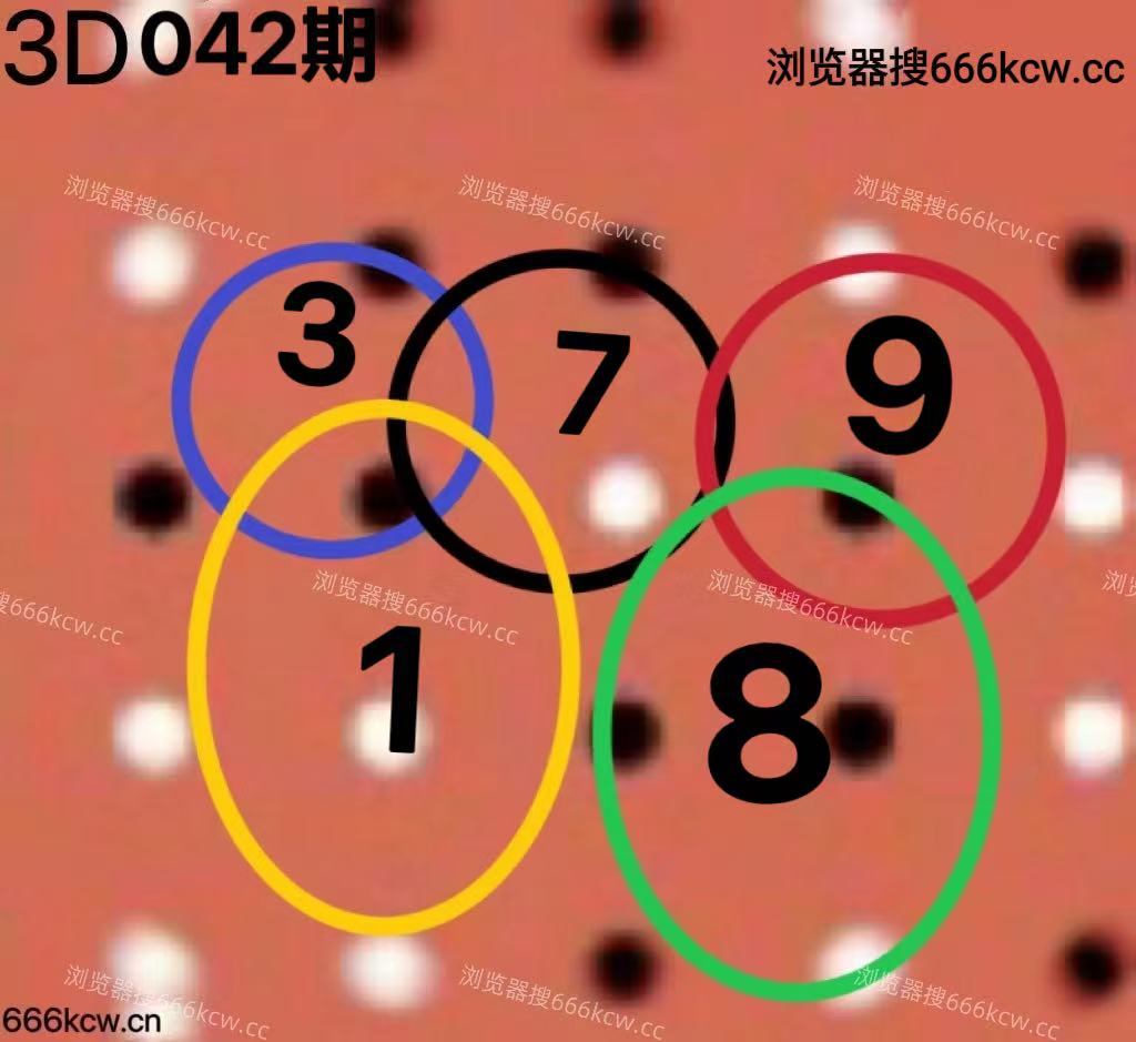 20260211 (6)