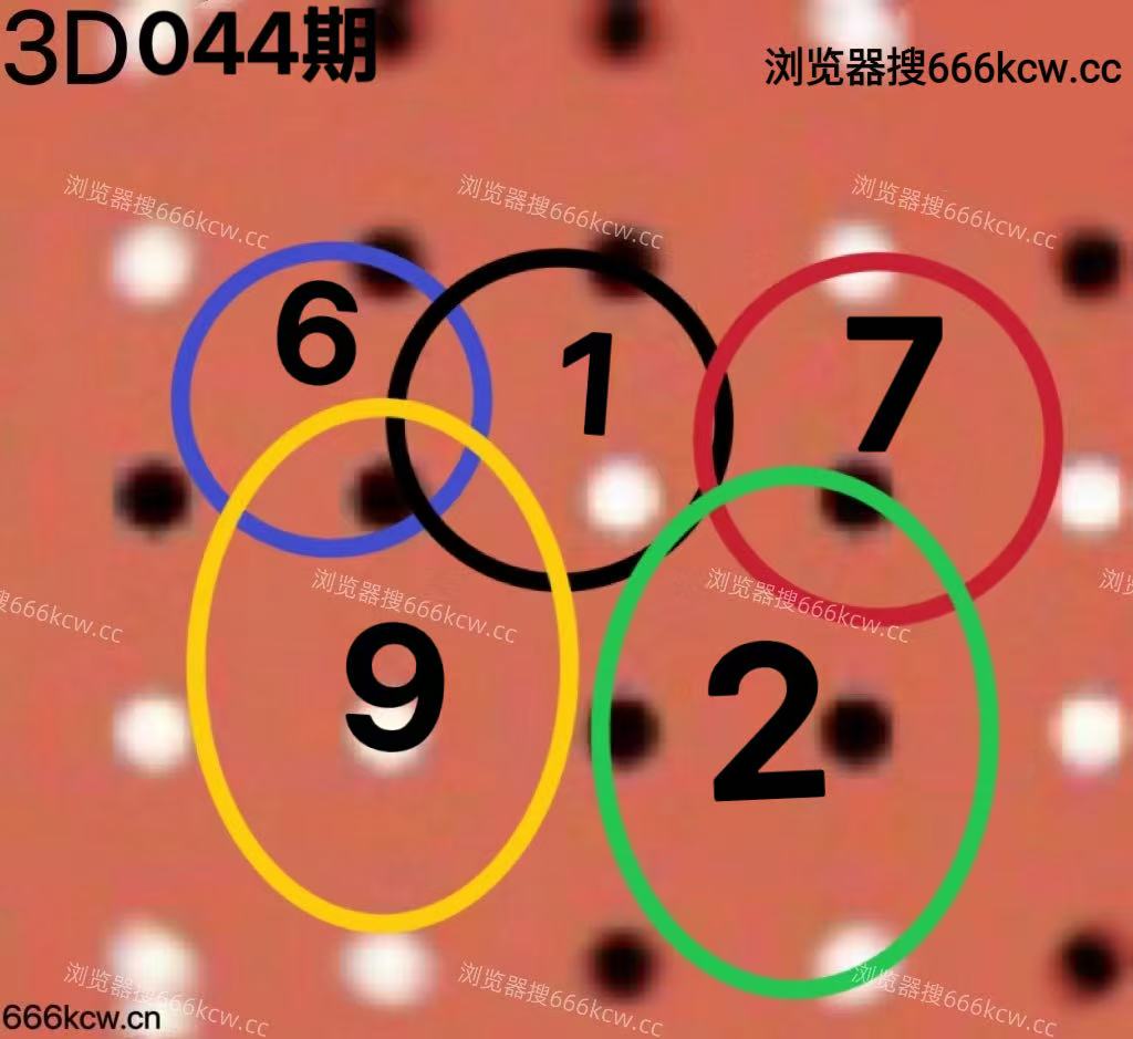 20260213 (6)