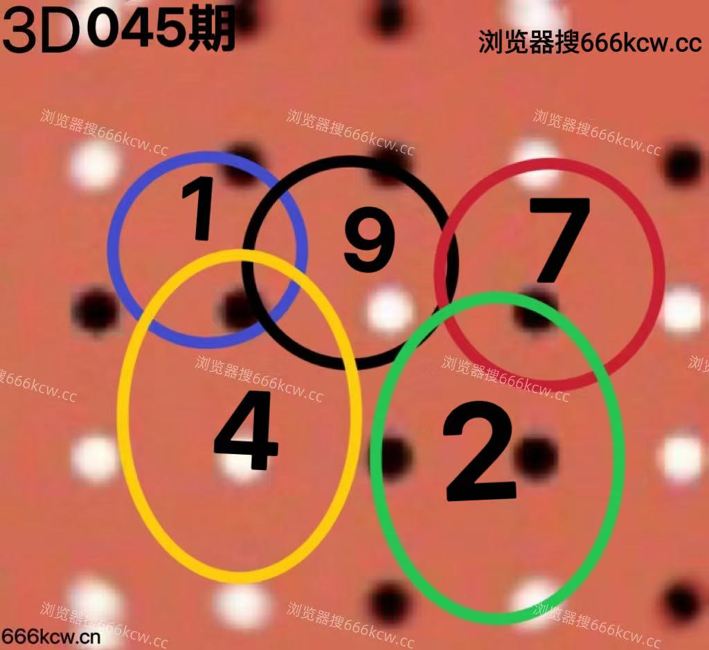 20260224 (5)