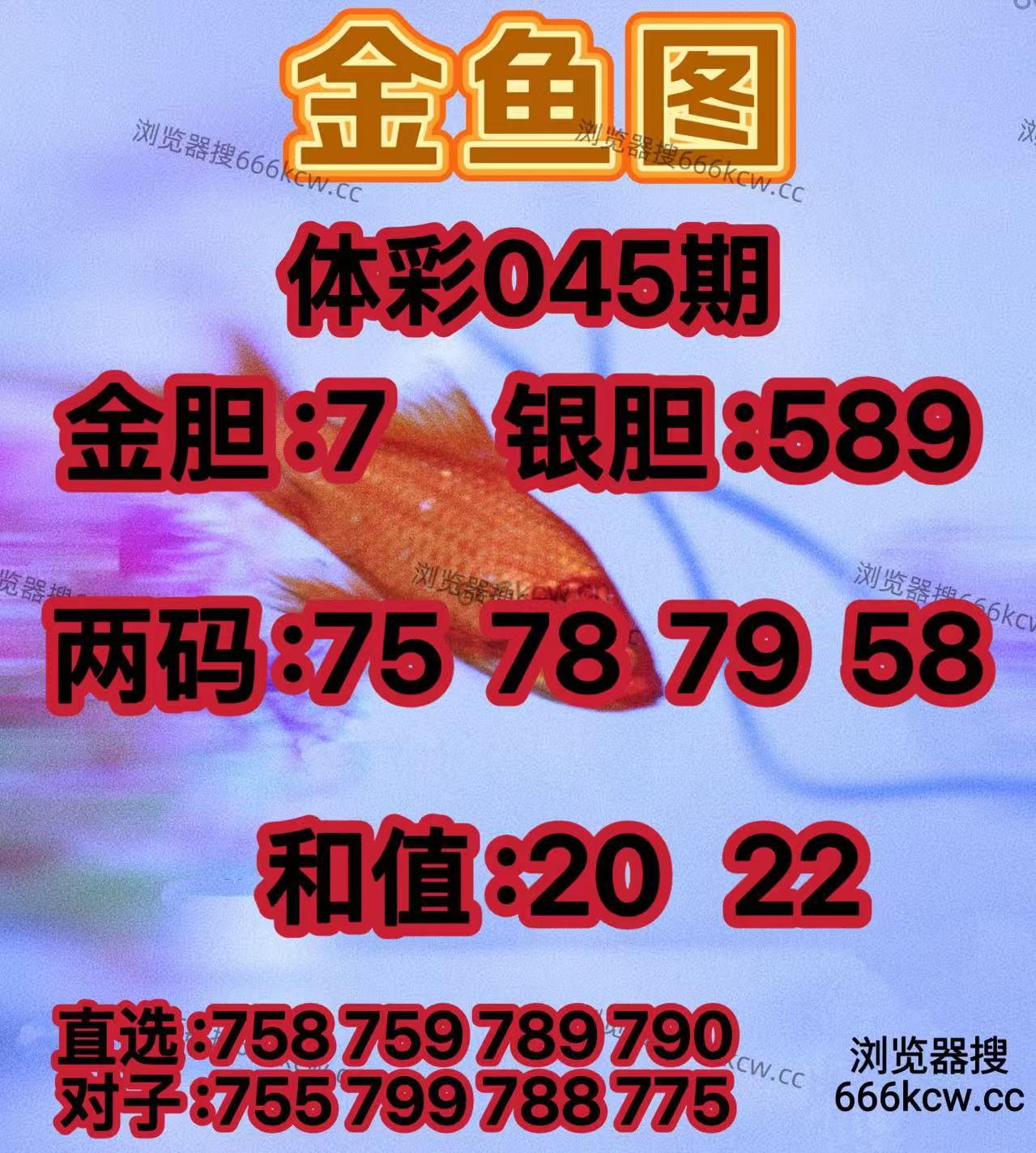 20260224 (7)