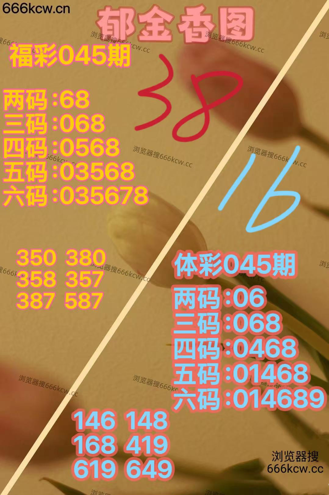 20260224 (22)