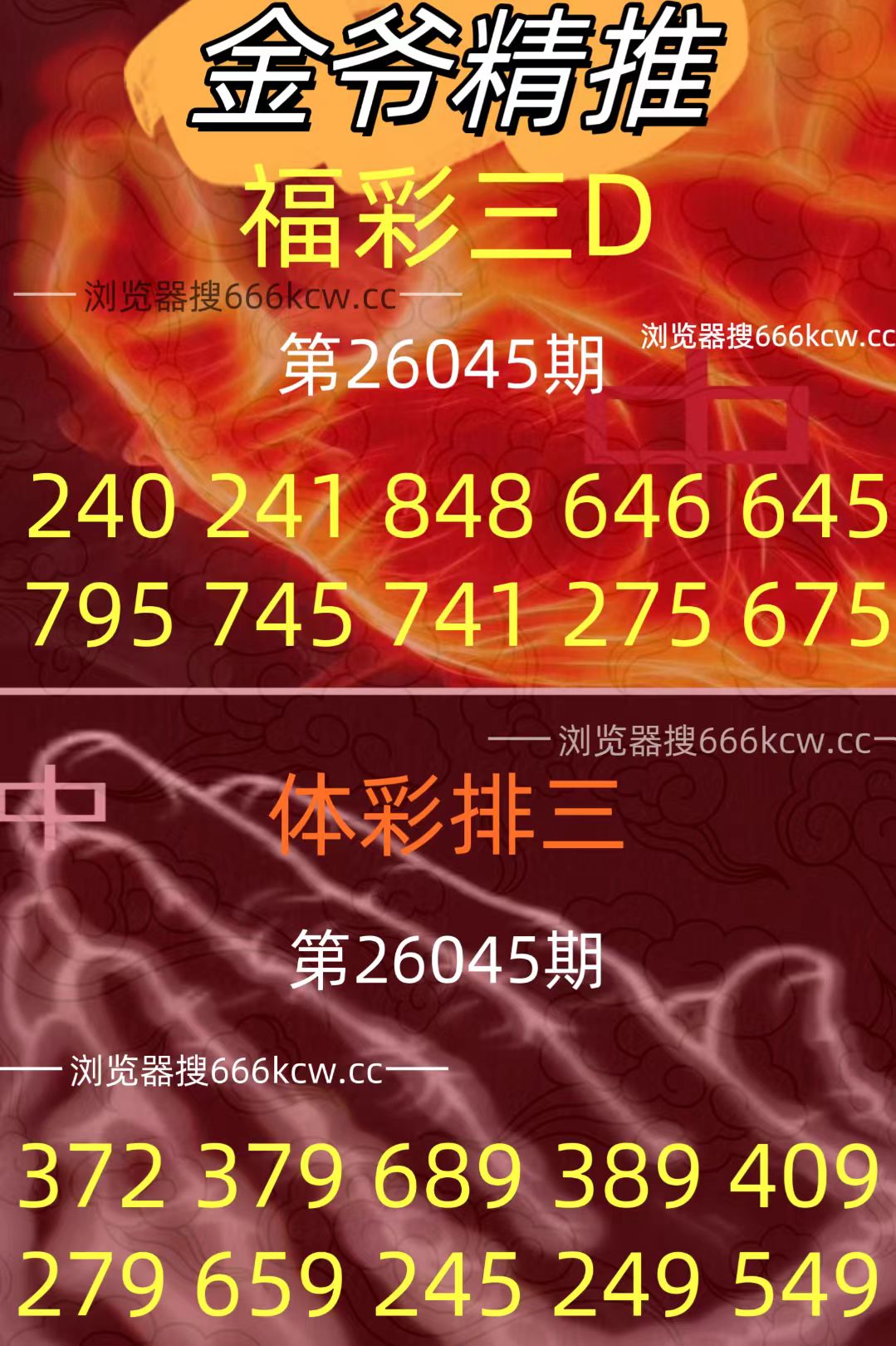 20260224 (26)