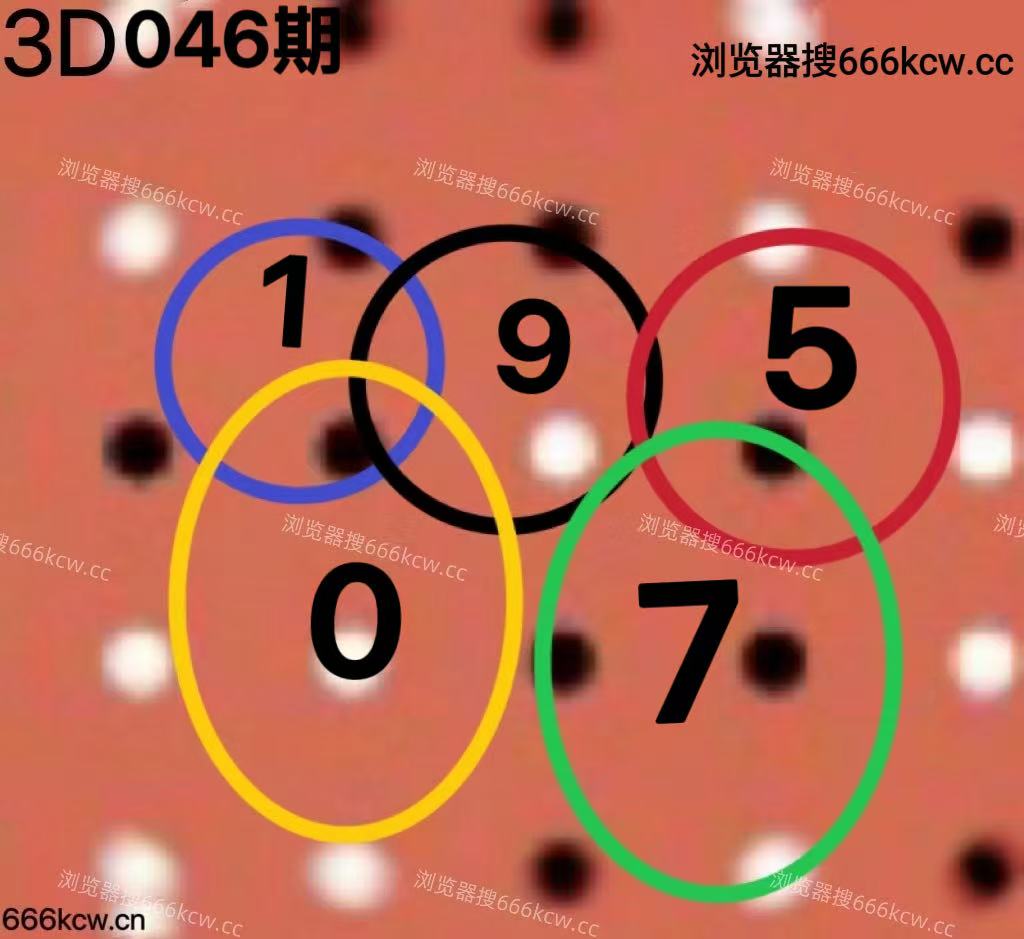 20260225 (6)