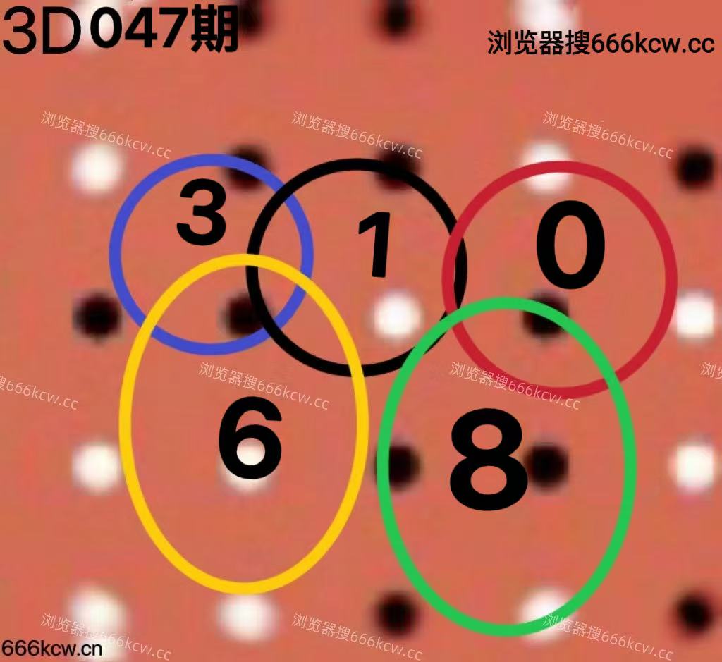 20260226 (6)
