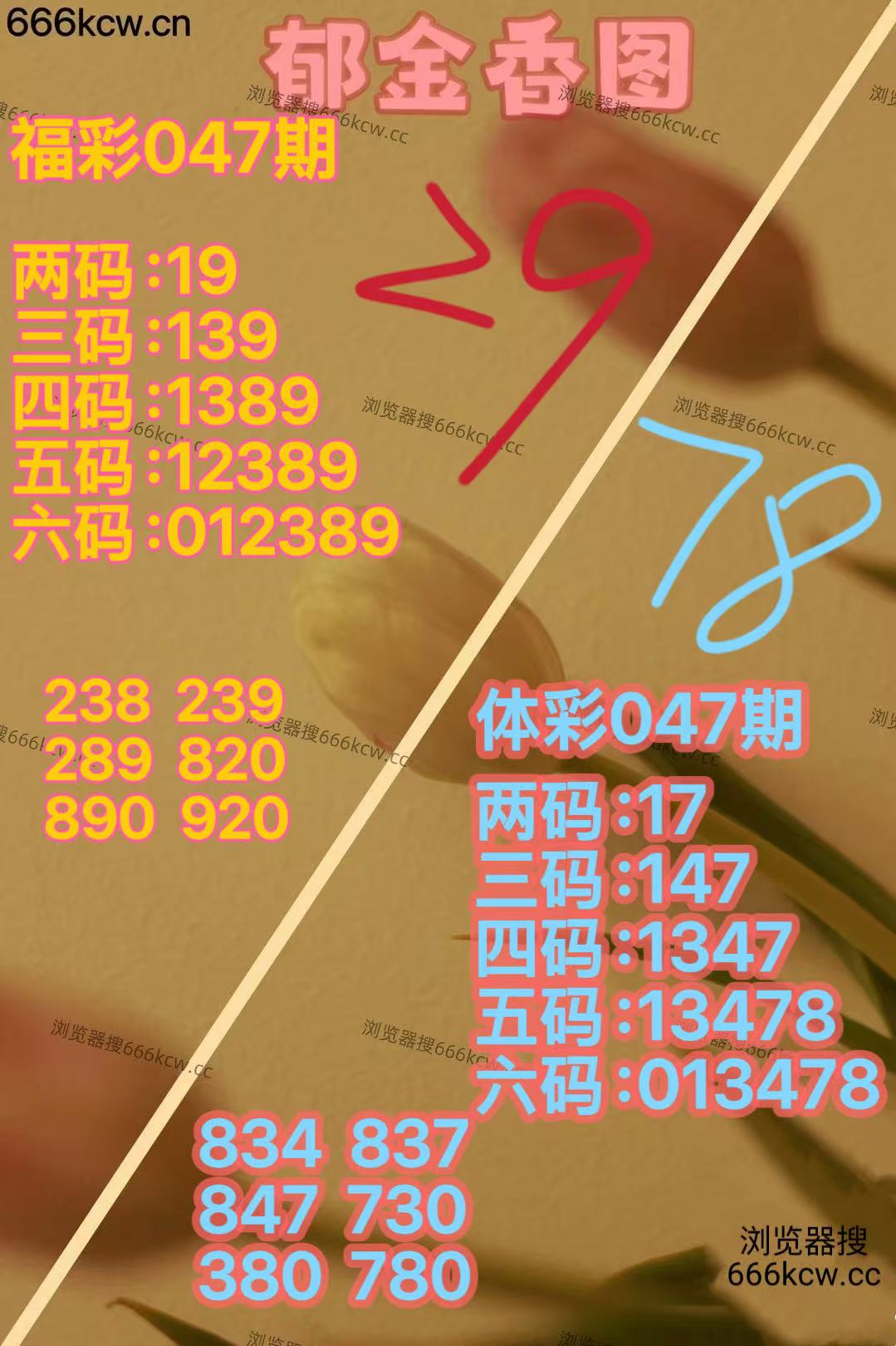 20260226 (23)