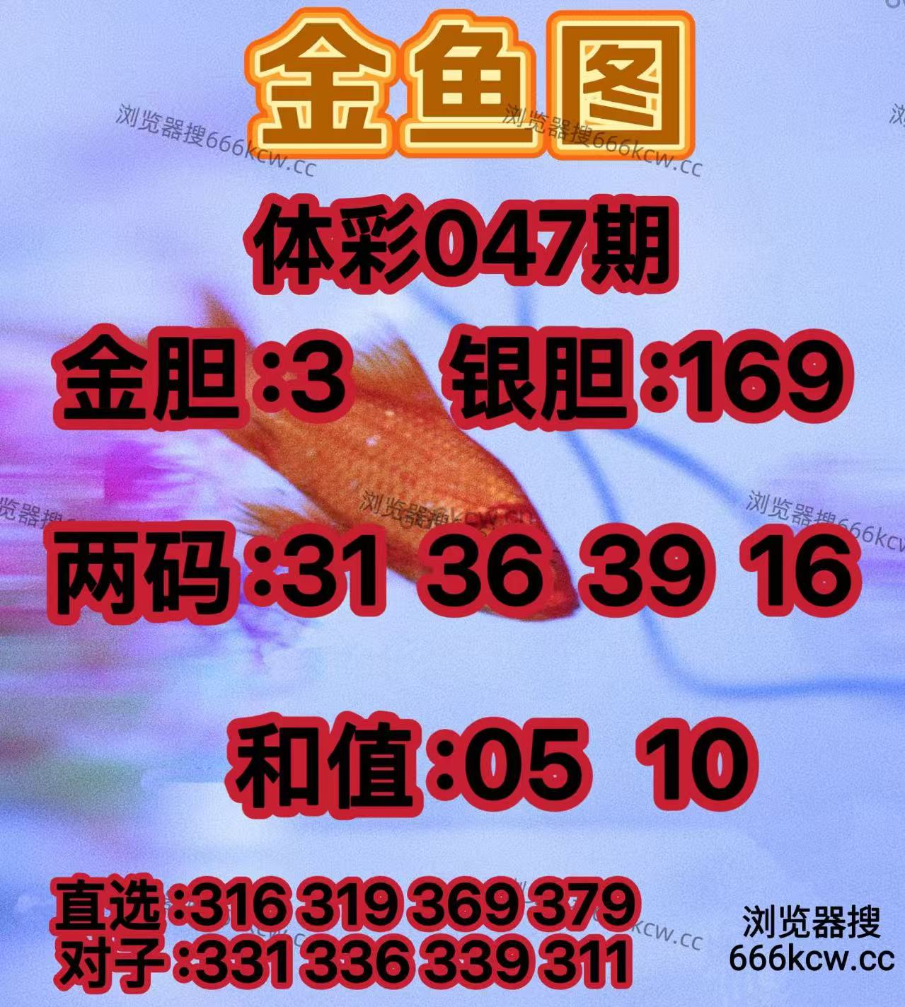 20260226 (8)