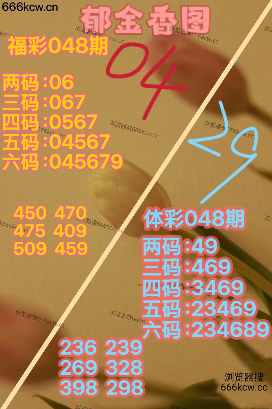 20260227 (23)