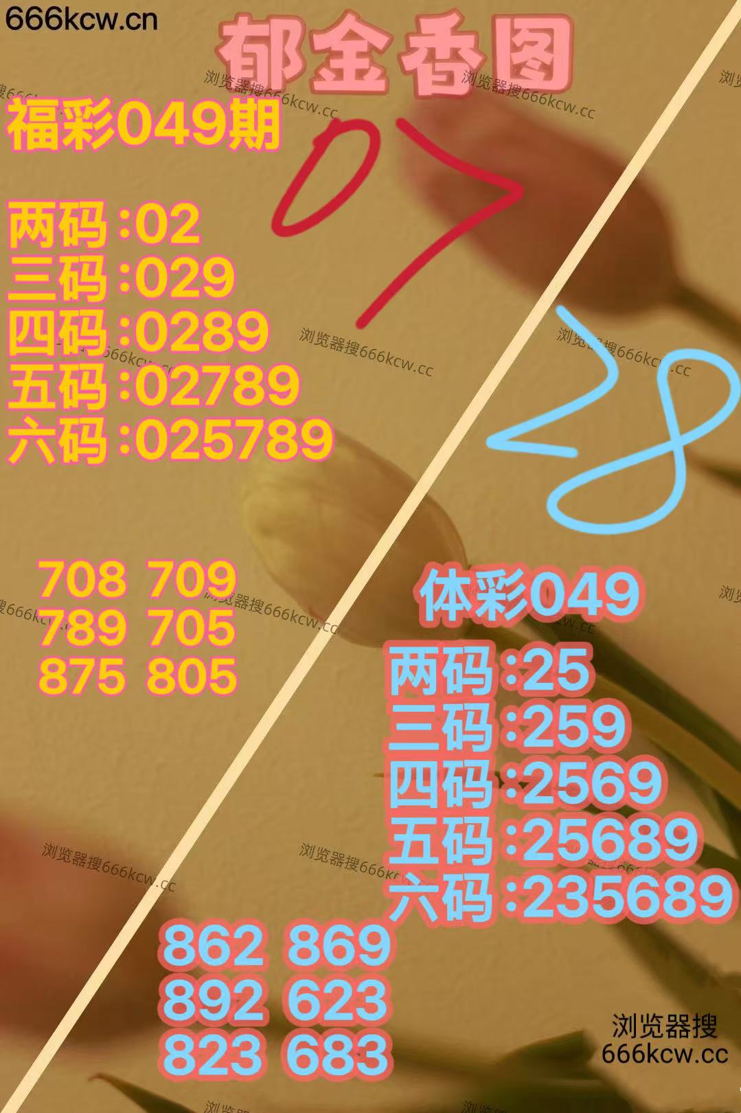 20260228 (20)