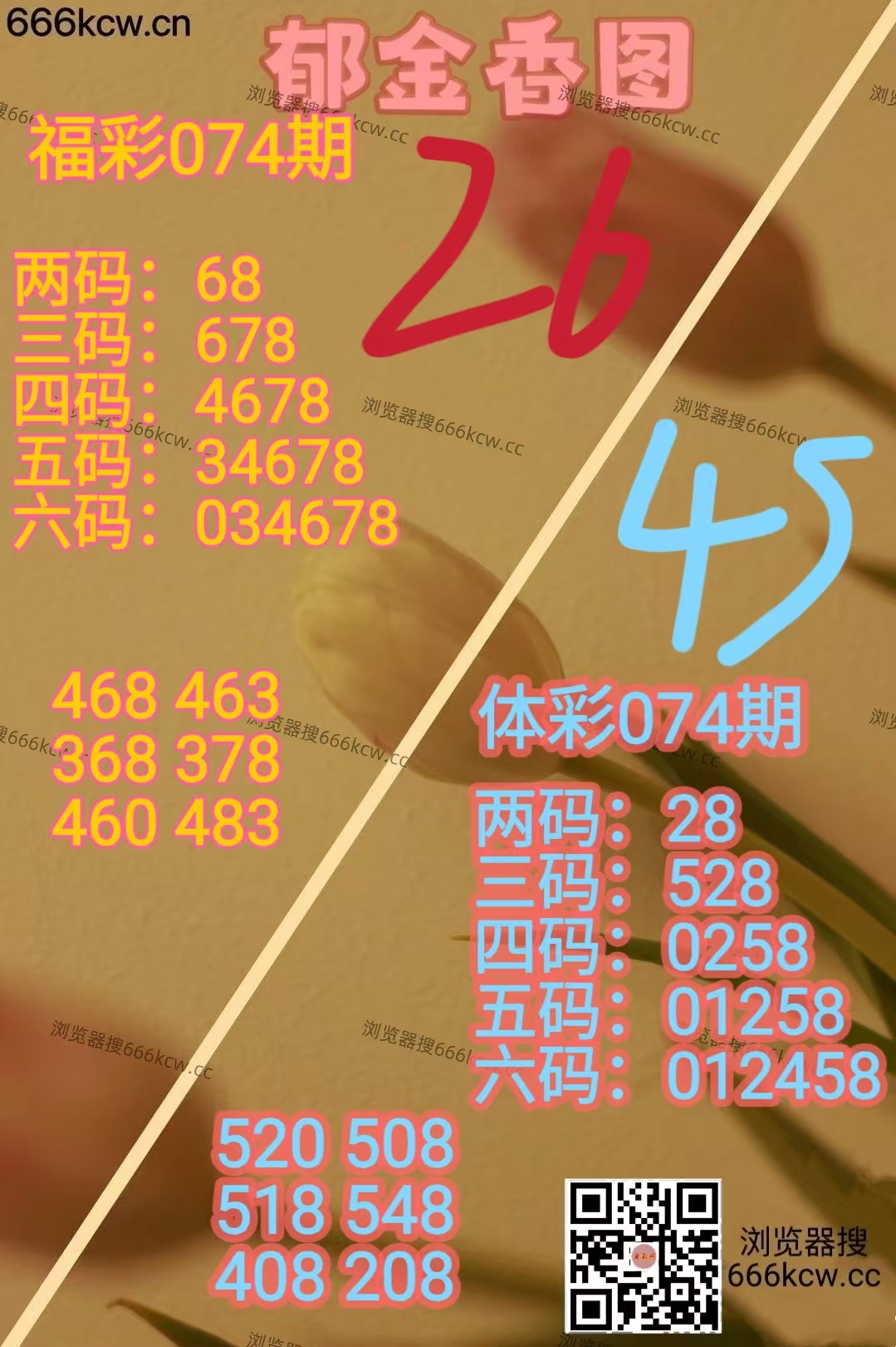 20260325 (5)