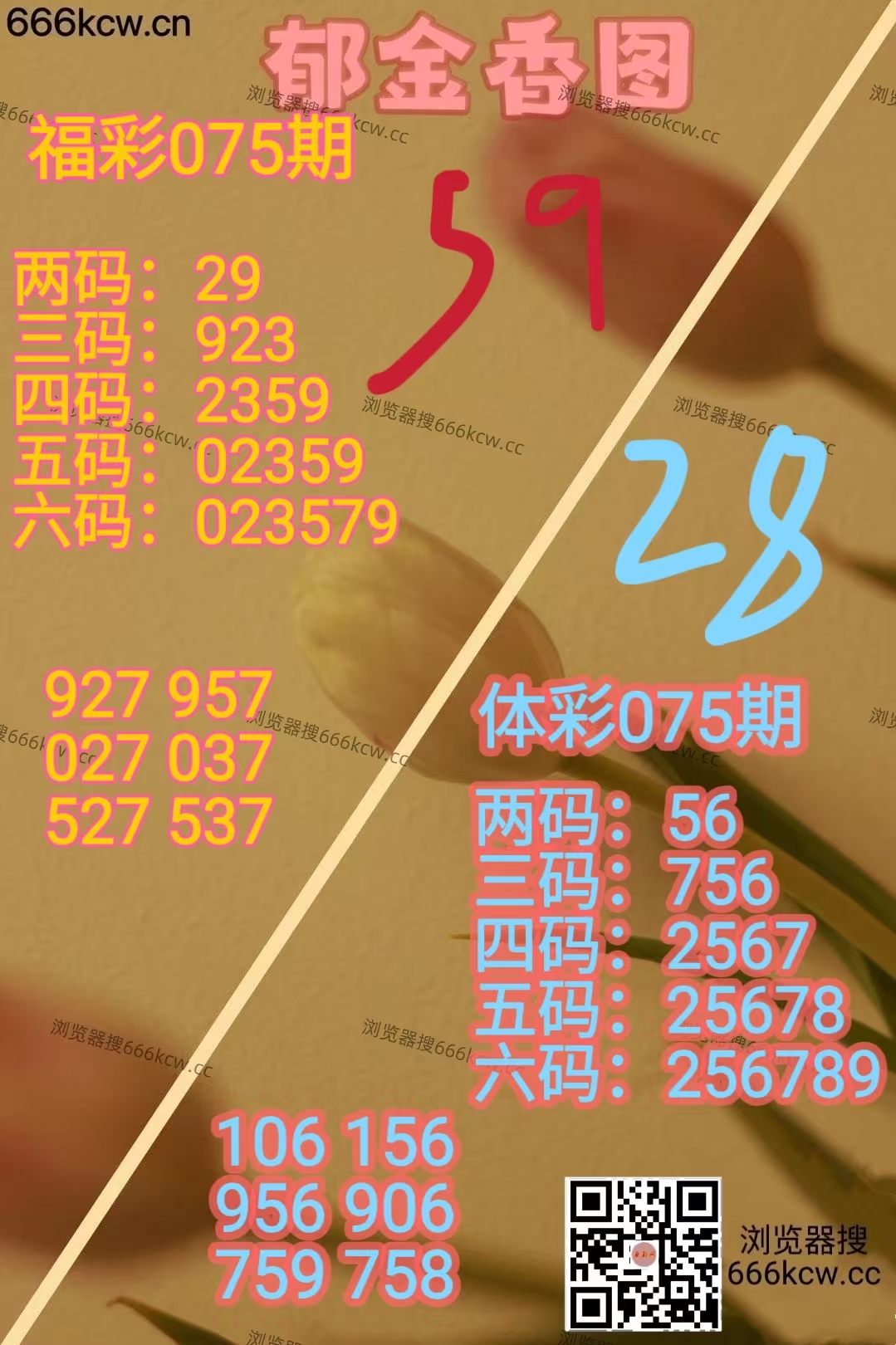 20260326 (23)