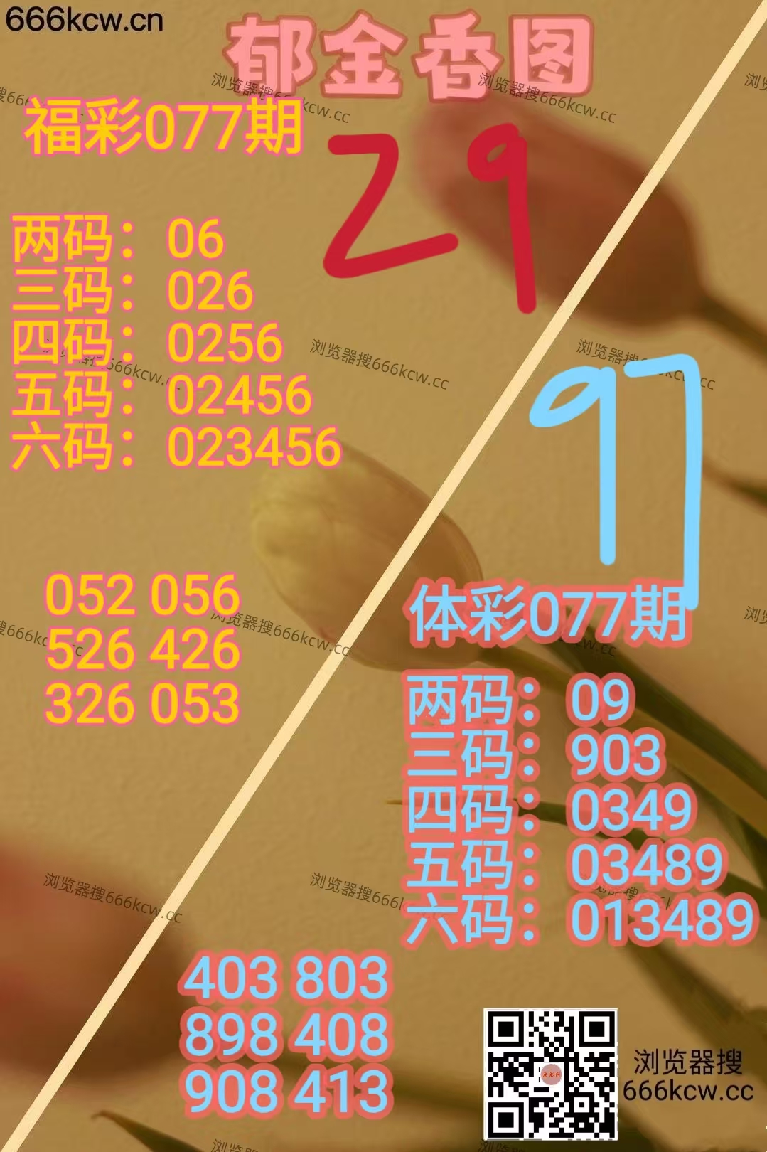 20260328 (14)
