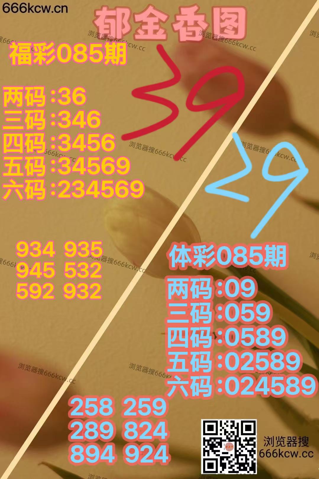 9040dfb6008415181b78efea1208567e