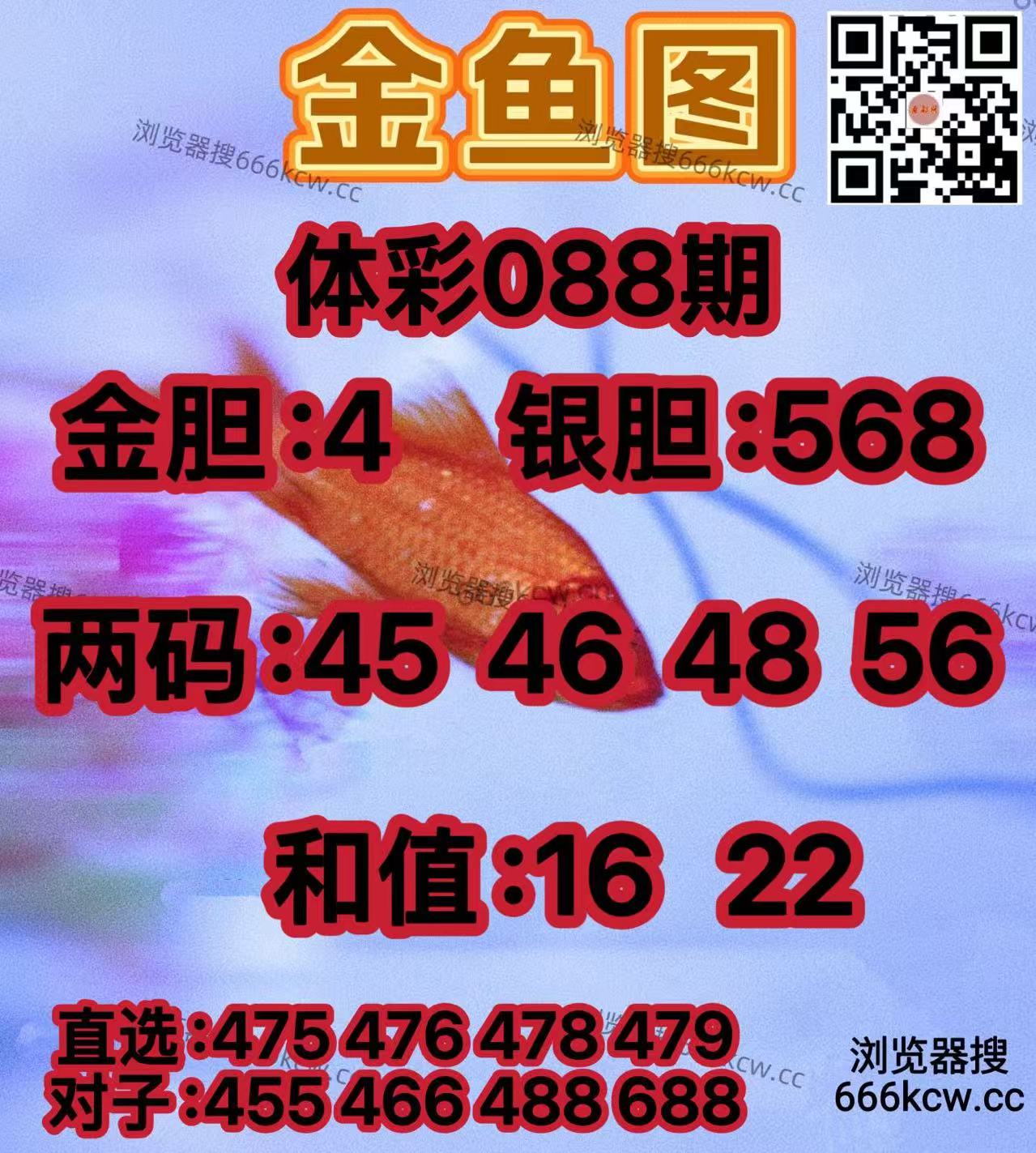 20260408 (4)