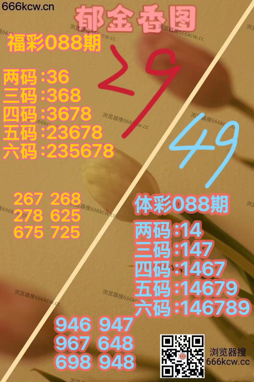 20260408 (38)
