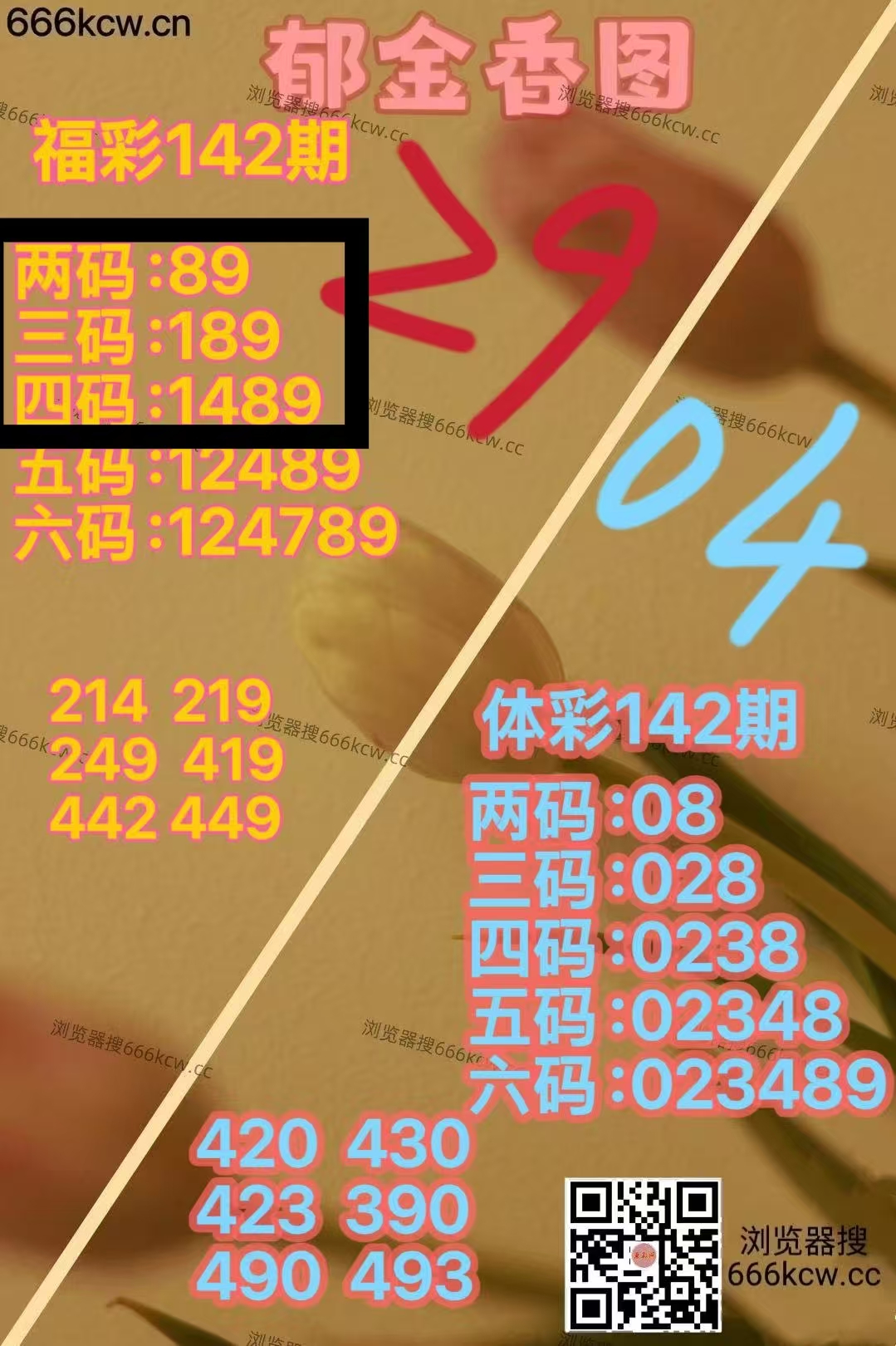 微信图片_20260602015833_1847_9