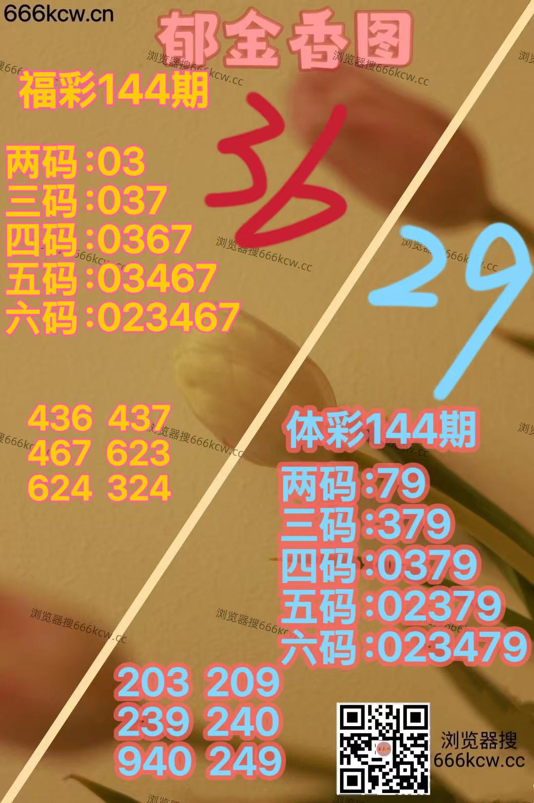微信图片_20260603154145_3324_70