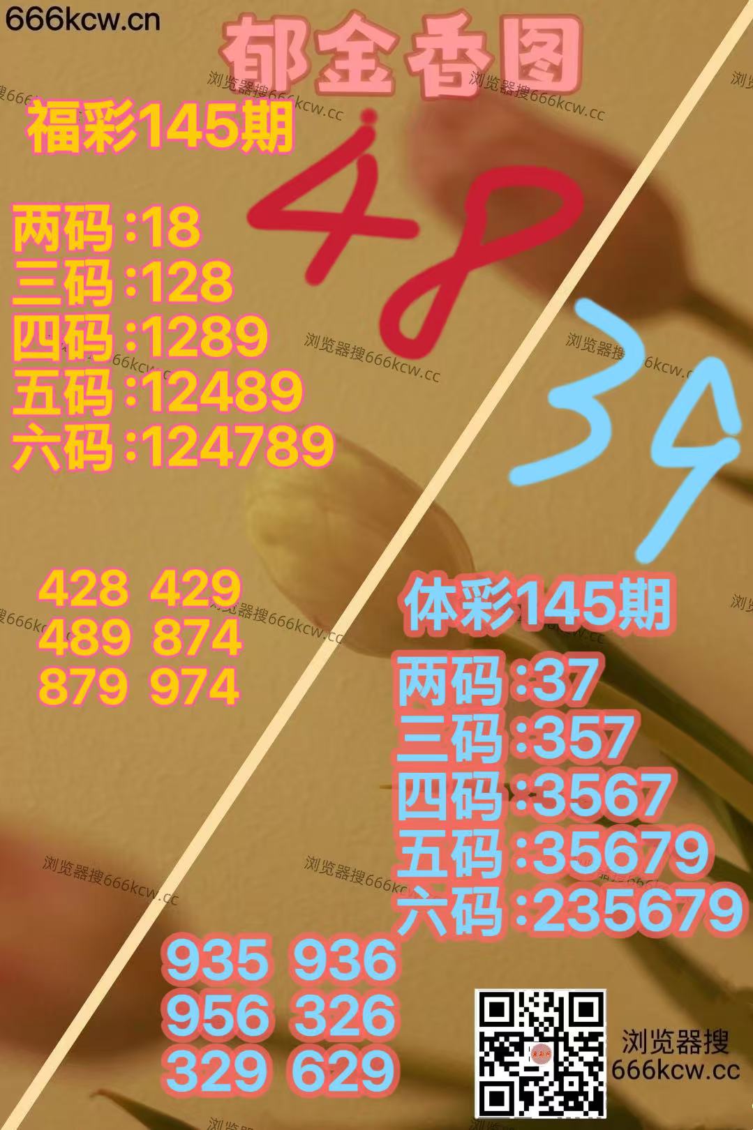 微信图片_20260604170618_3438_70