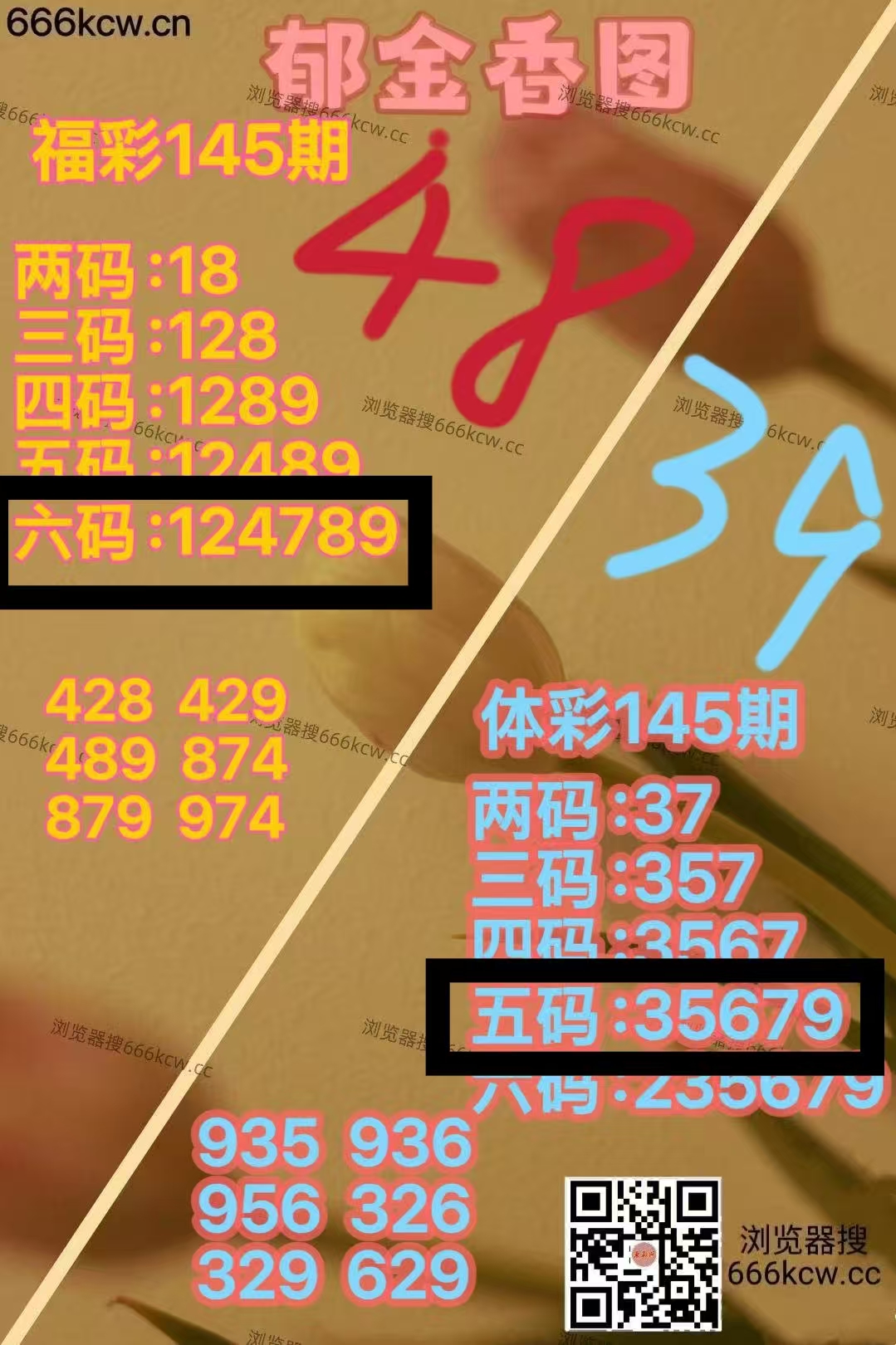 微信图片_20260605010454_1928_9