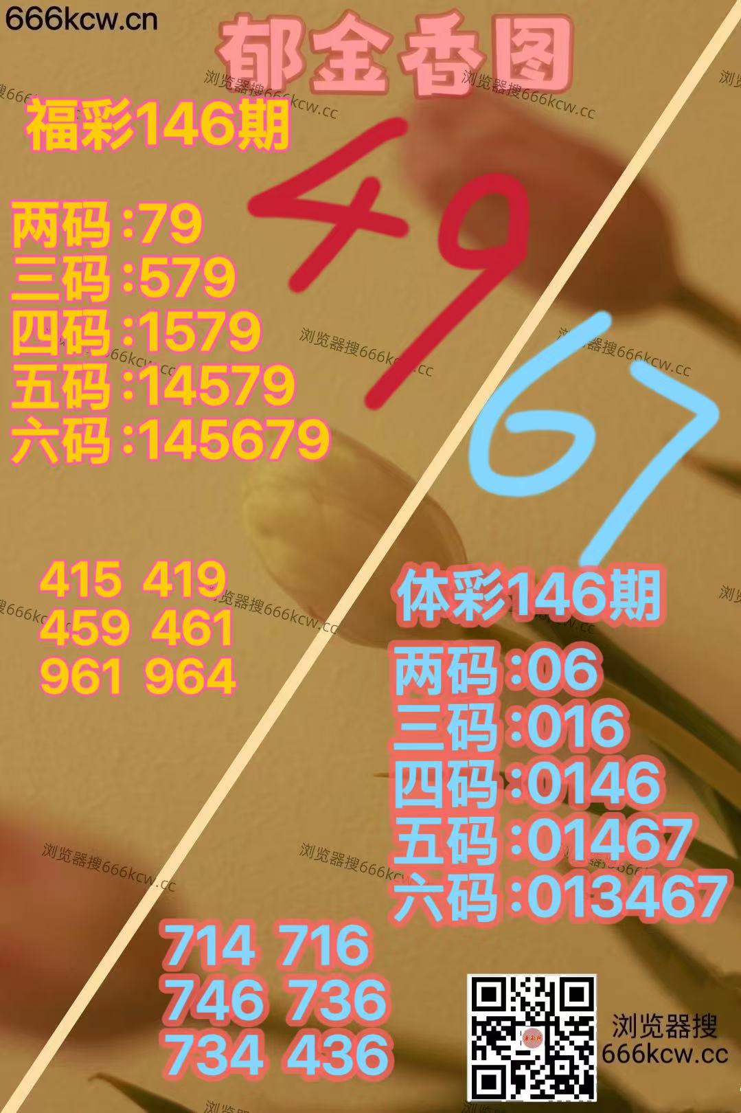 微信图片_20260605170930_3445_70