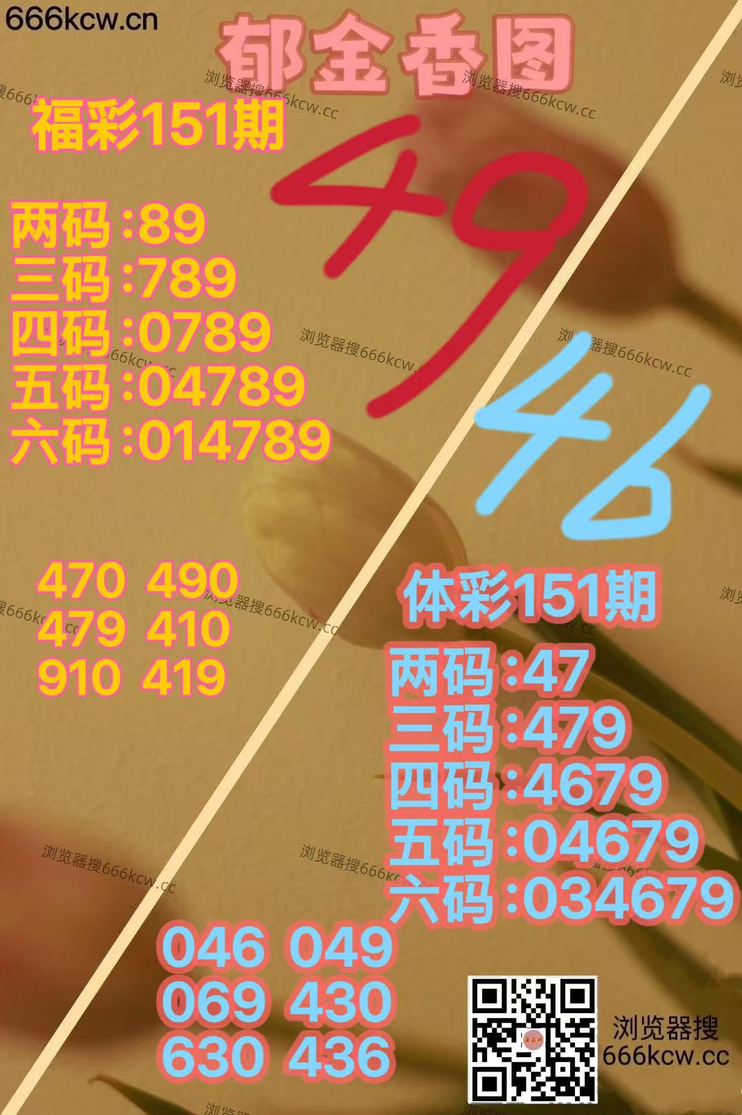 微信图片_20260610165124_2711_2