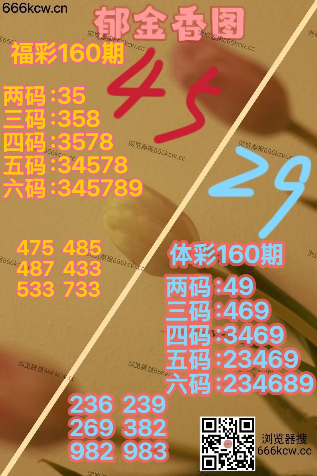微信图片_20260619165059_2884_2