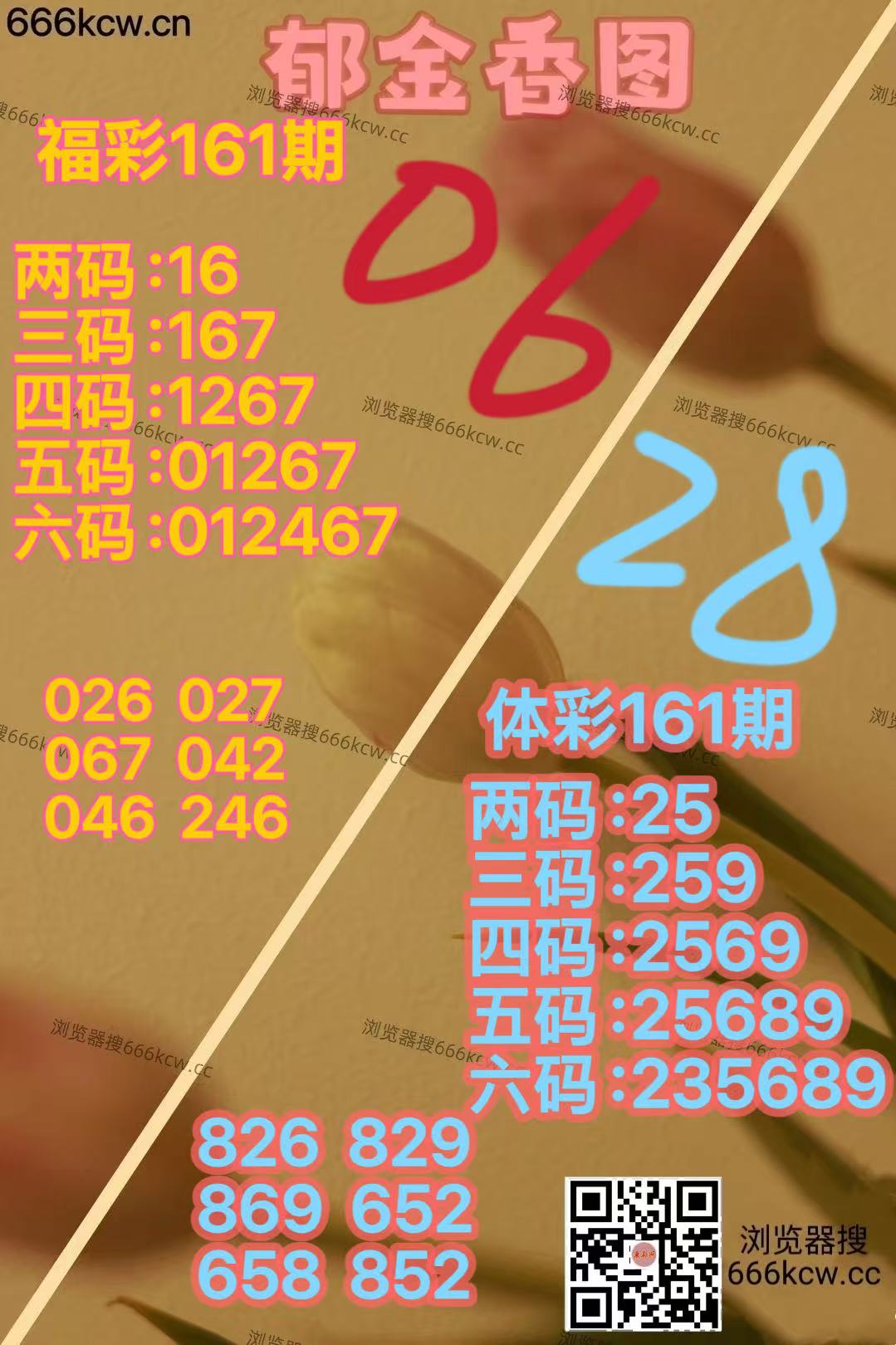 微信图片_20260620163332_3018_2