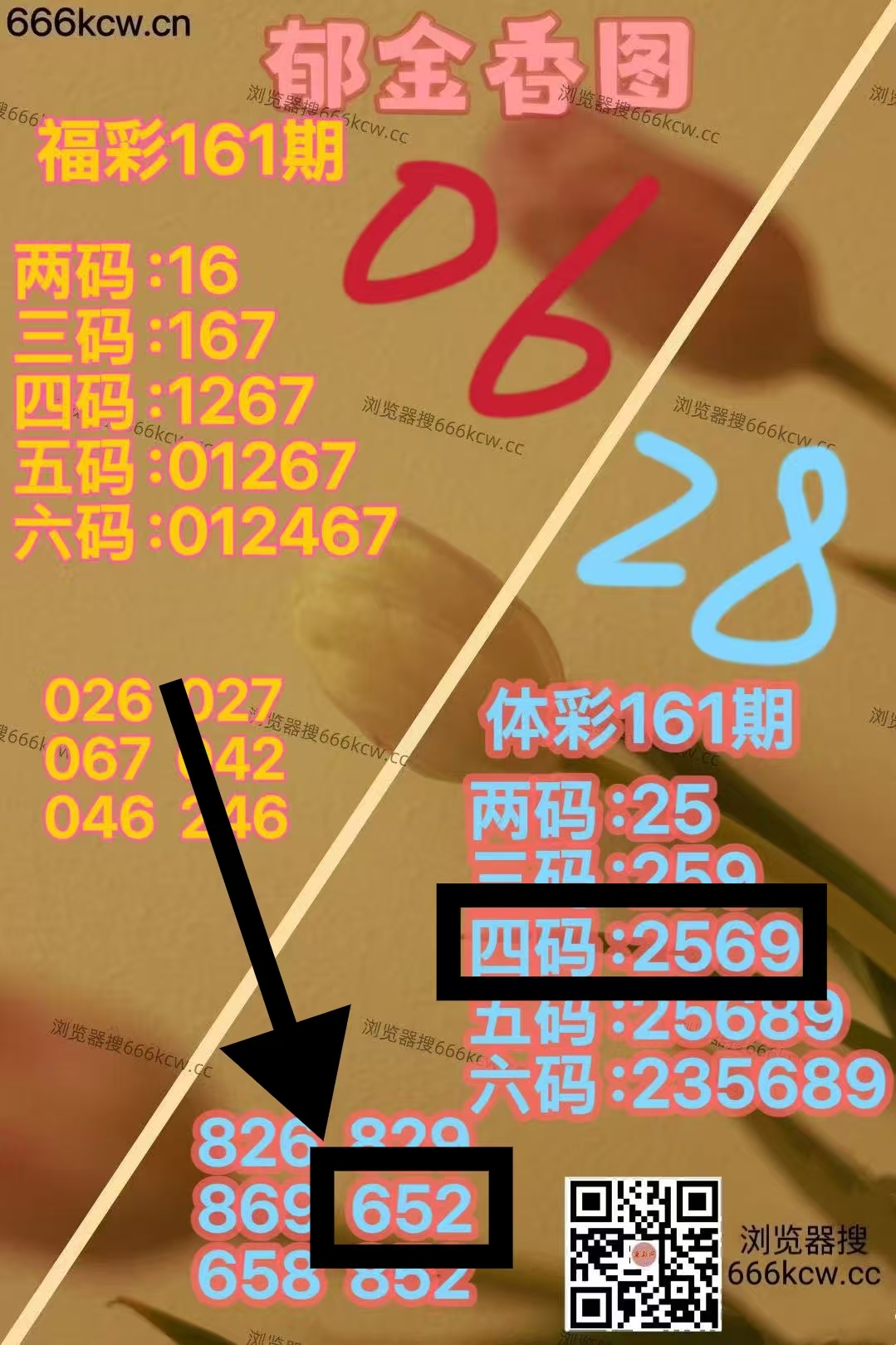 微信图片_20260620225208_540_1