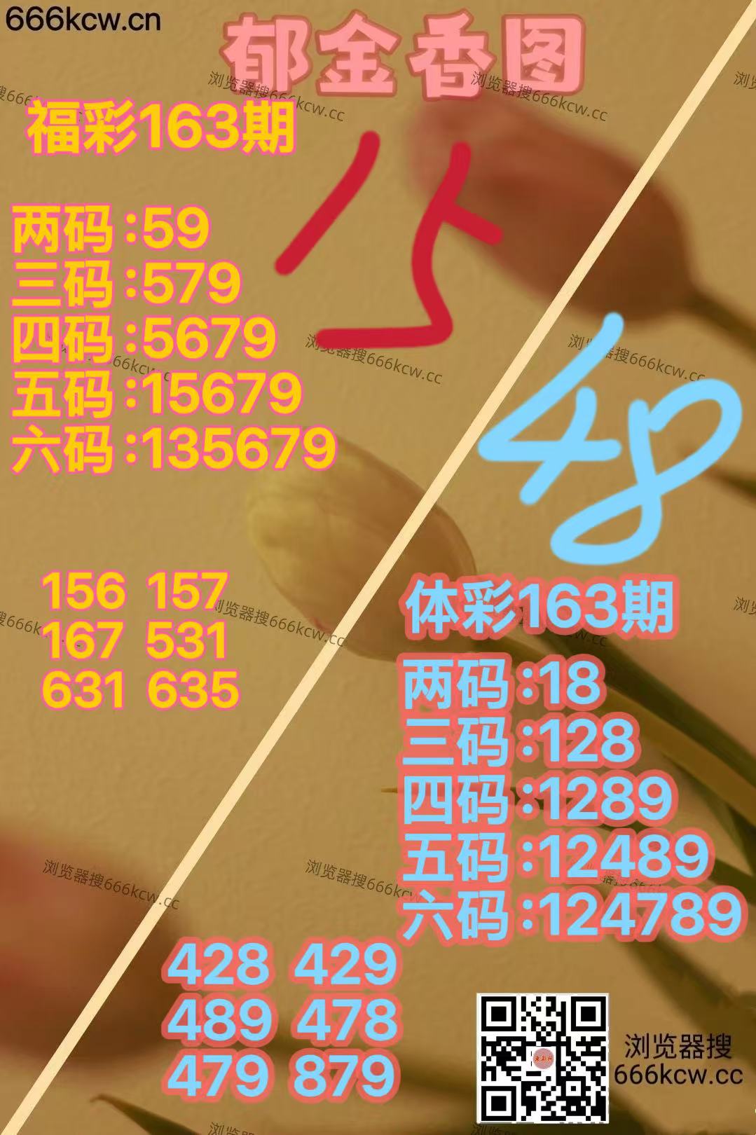 微信图片_20260622163754_3024_2