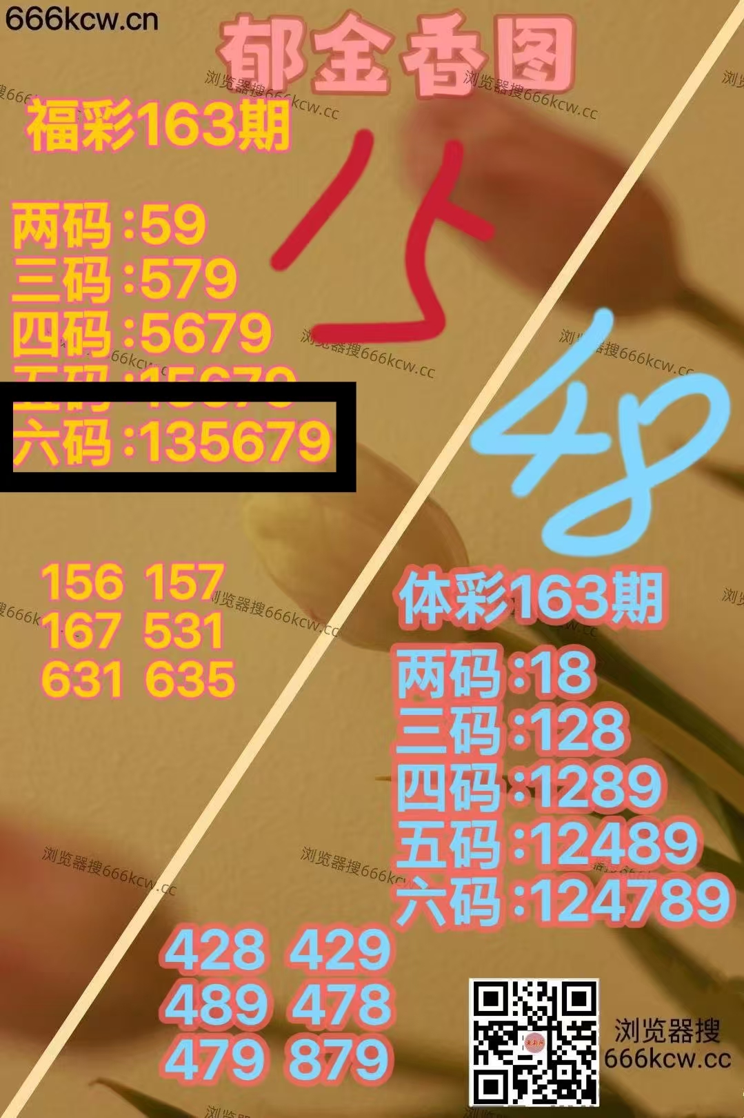 微信图片_20260622230343_671_1