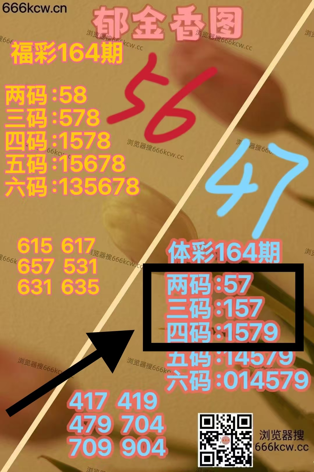 微信图片_20260624012433_715_1