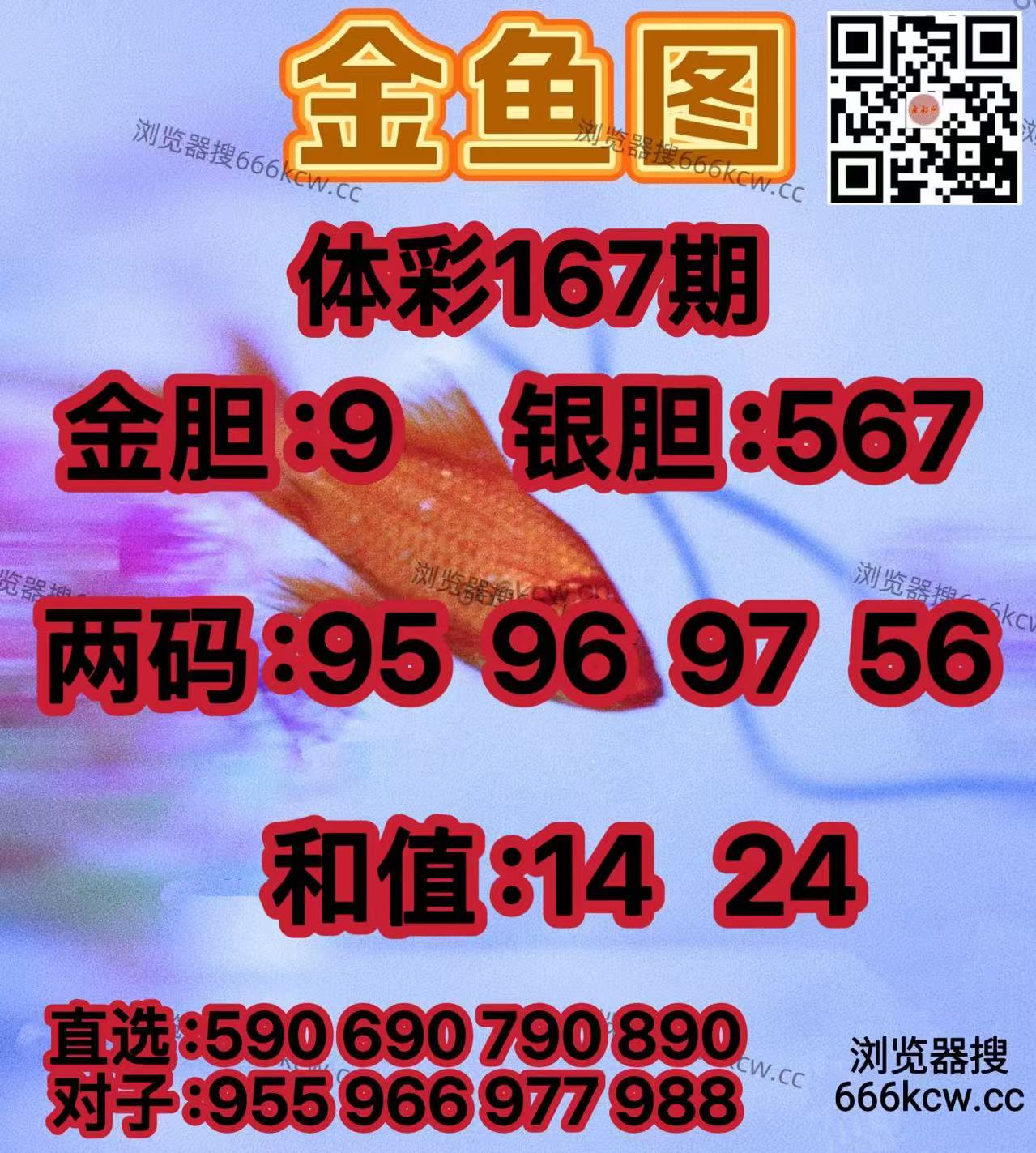 20260626 (24)