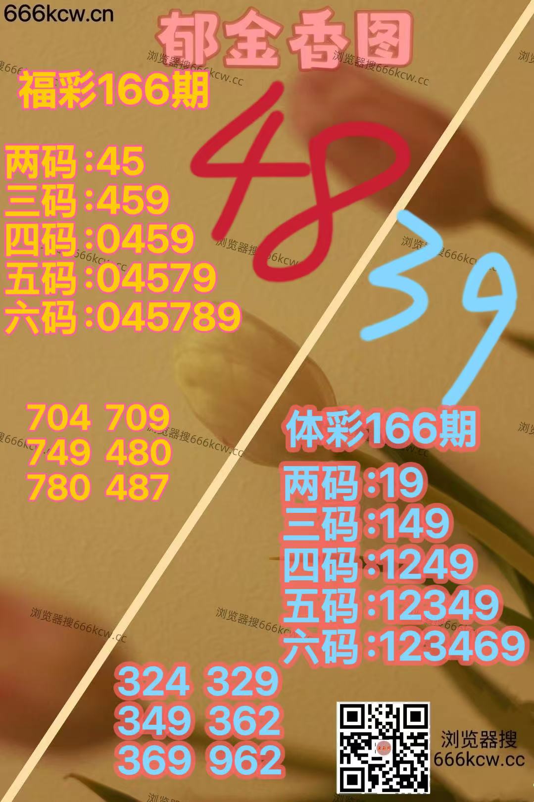 微信图片_20260625164955_3175_2