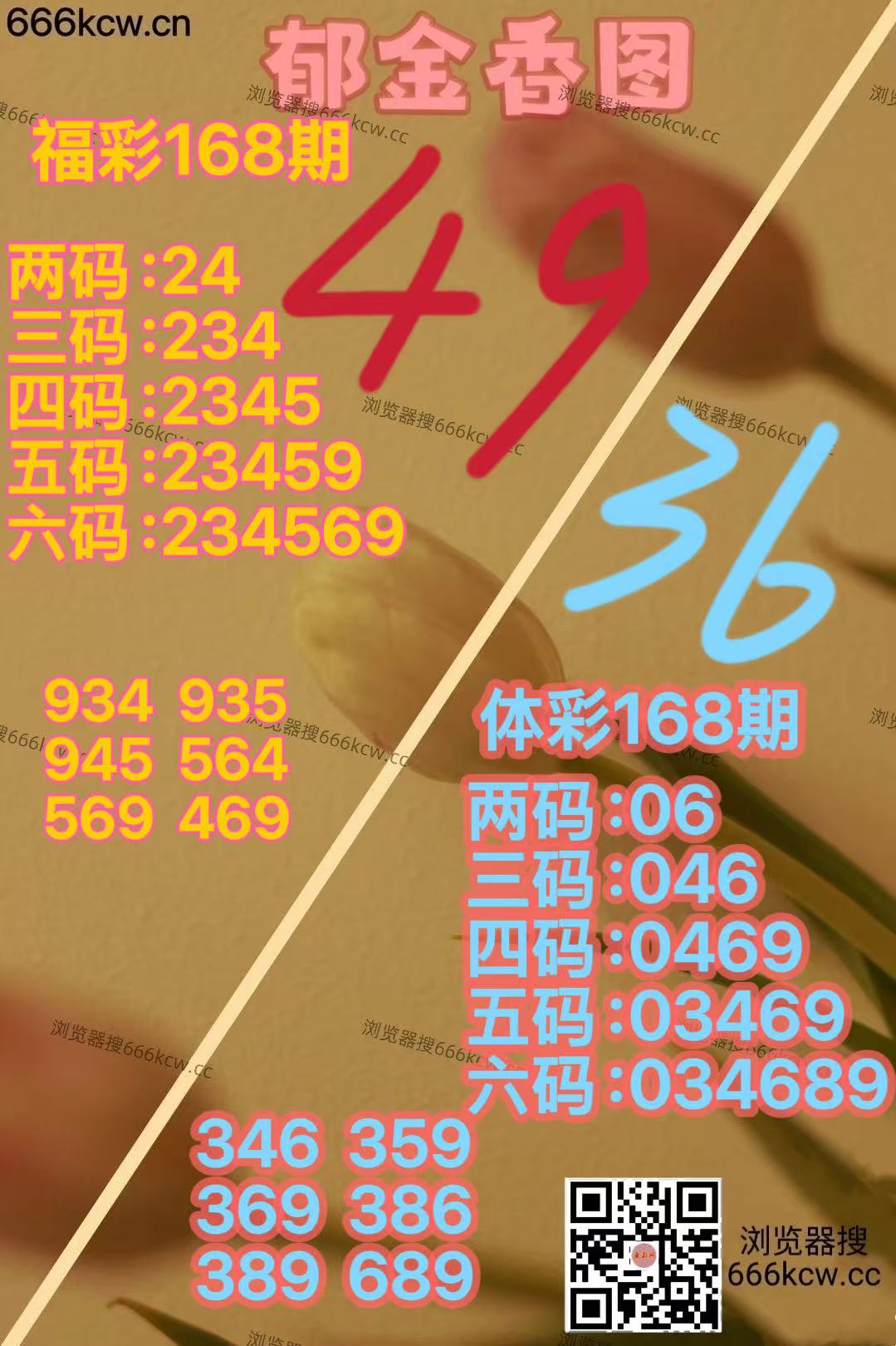 微信图片_20260627165131_3187_2