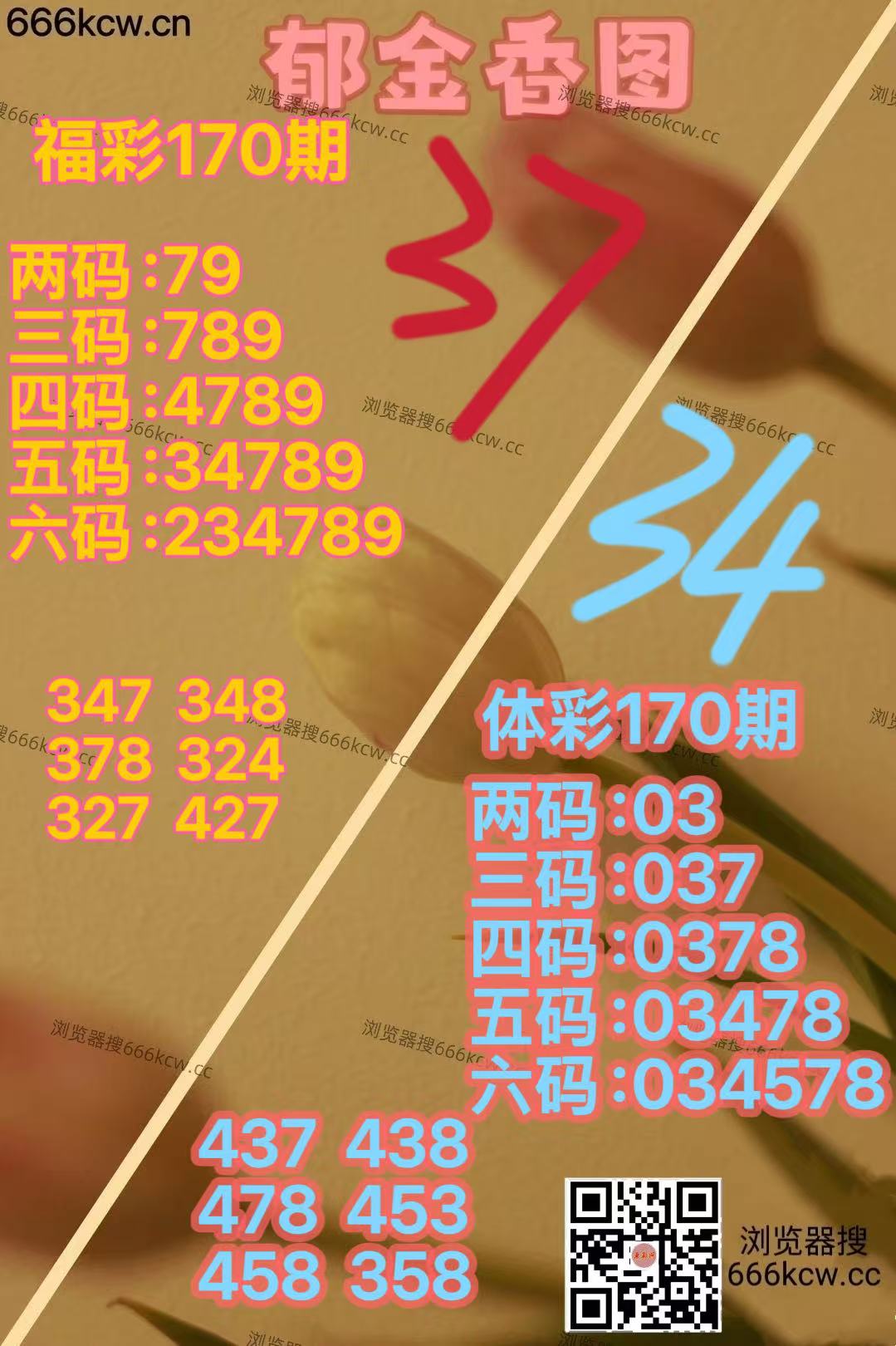 微信图片_20260629165251_3193_2