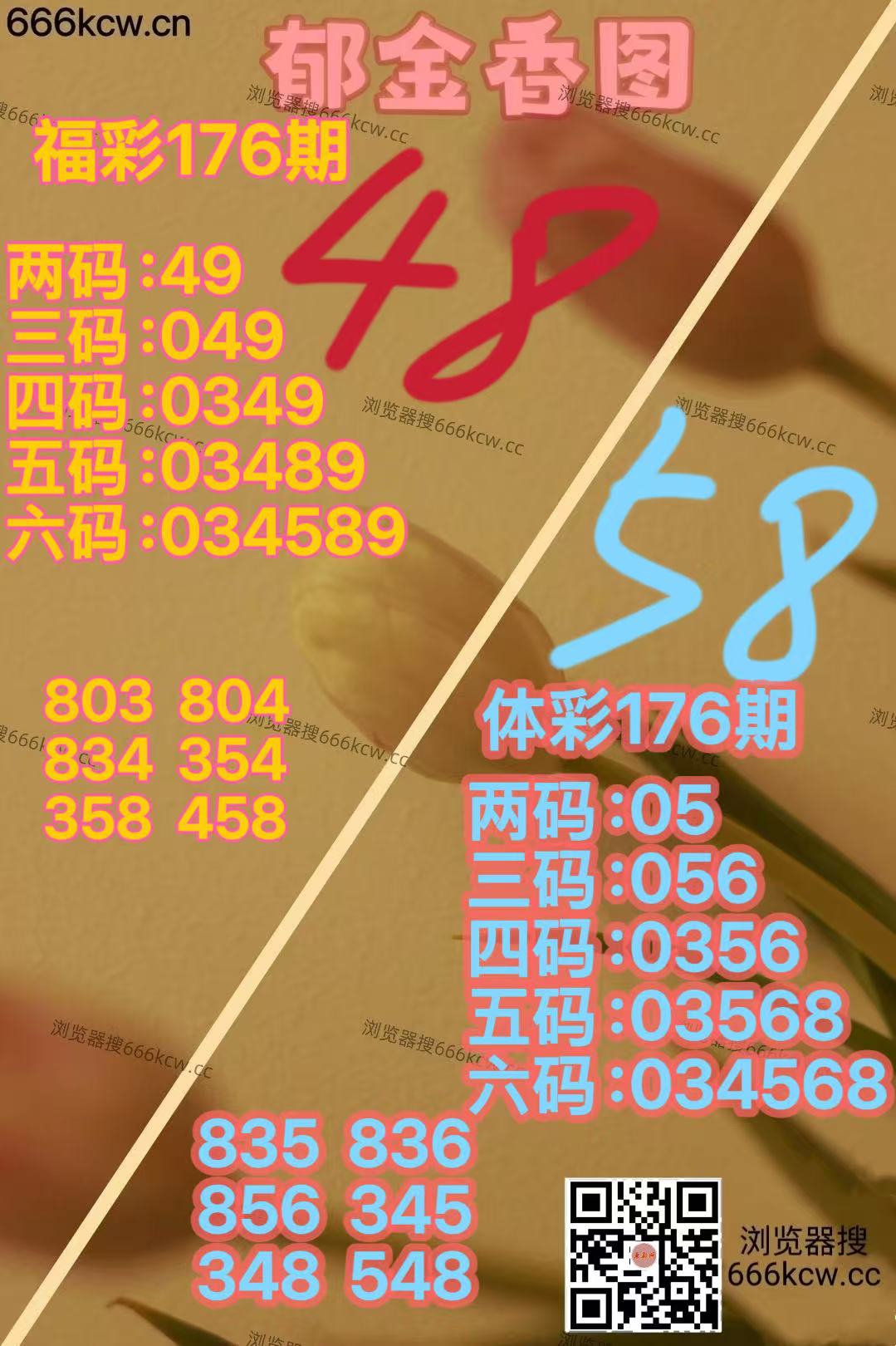 20260705-9 (6)