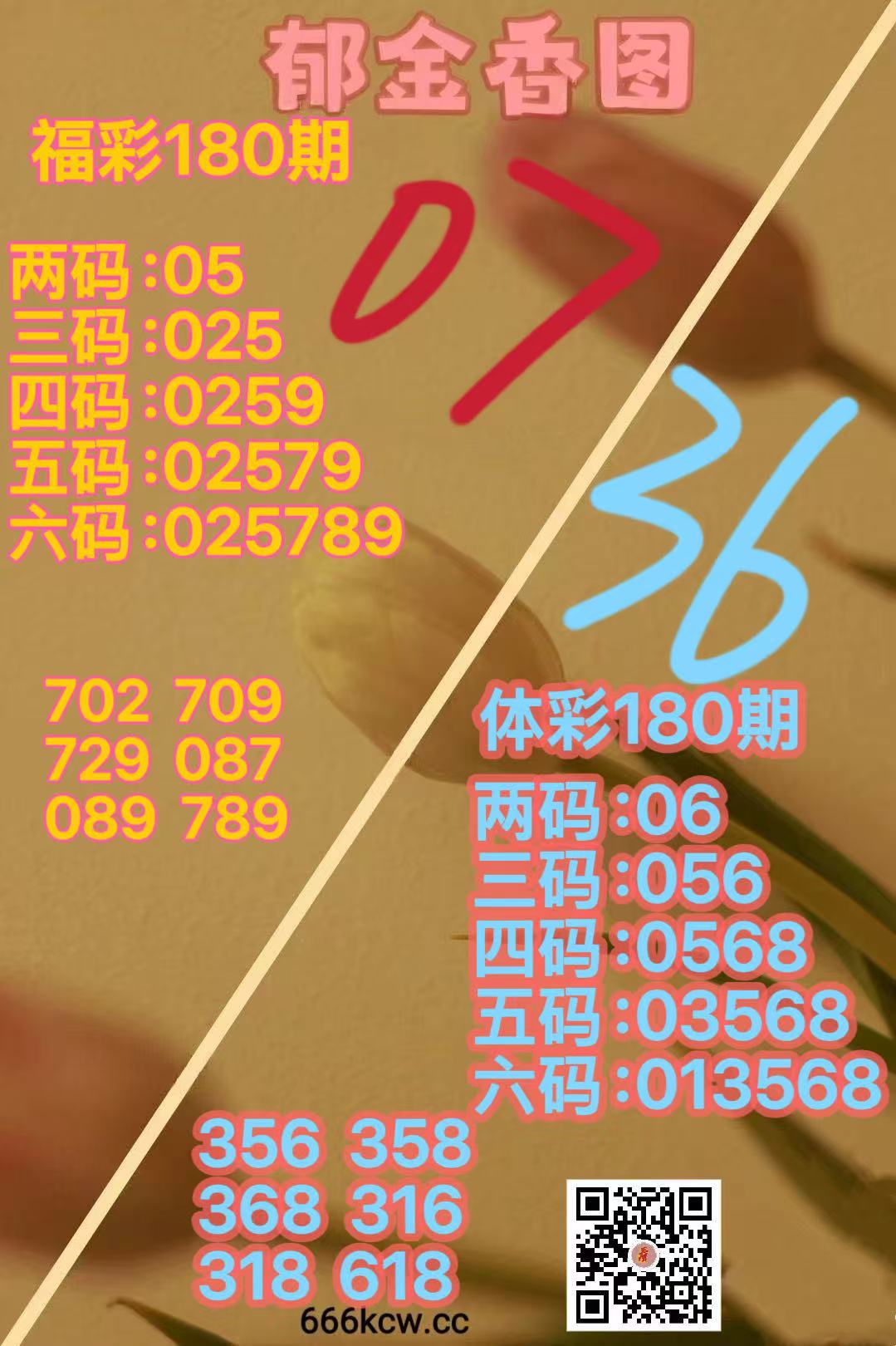 微信图片_20260709165911_3614_2