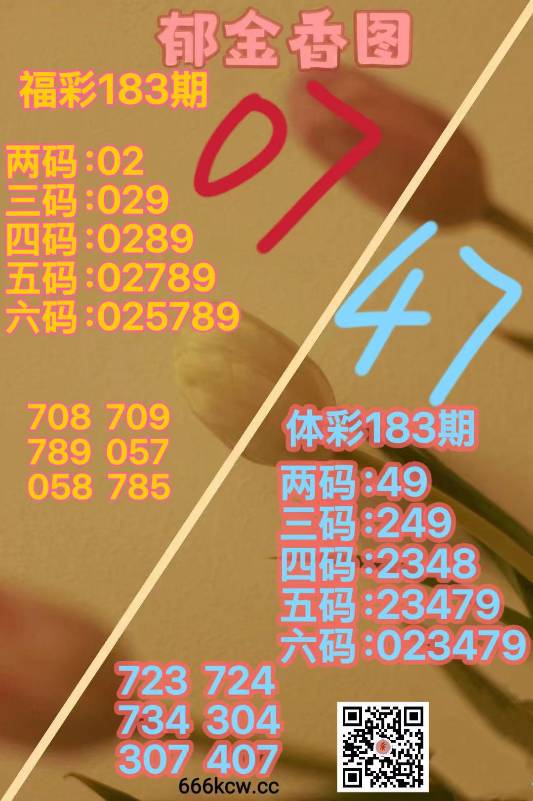 mmexport1783847284315