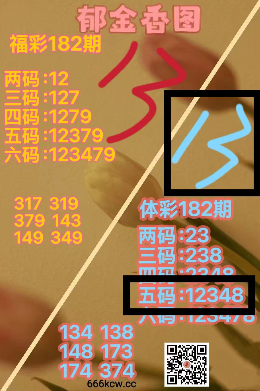 微信图片_20260712011126_169_2