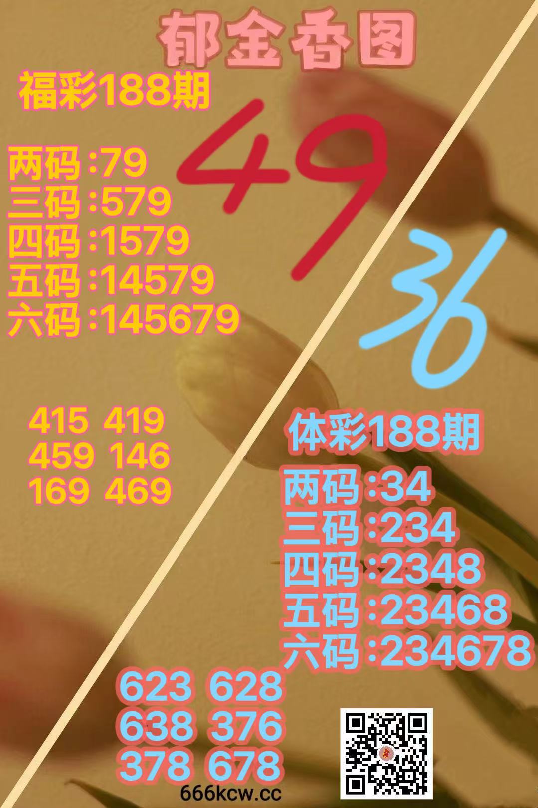 mmexport1784279797951