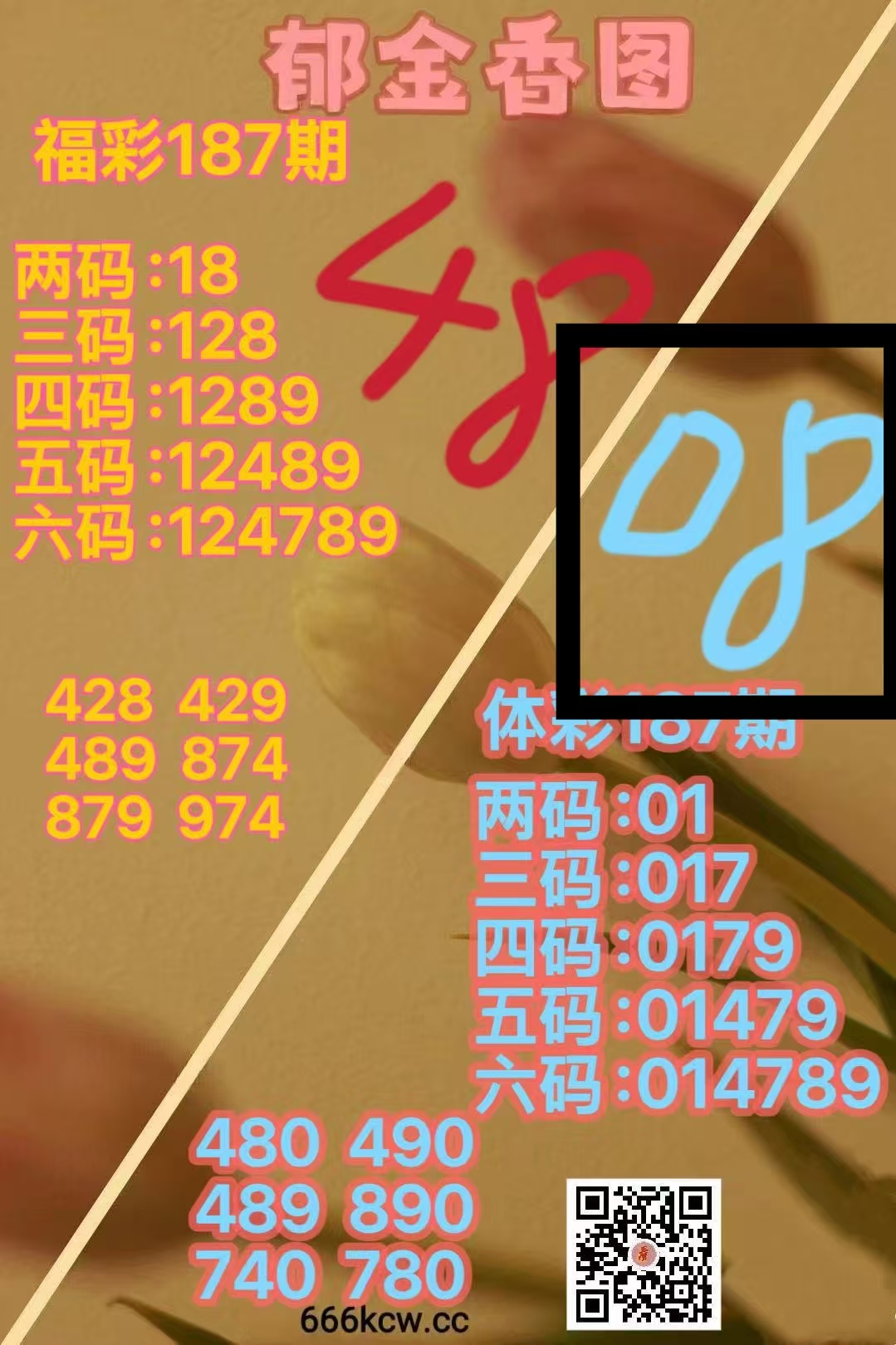 微信图片_20260717015628_8_1