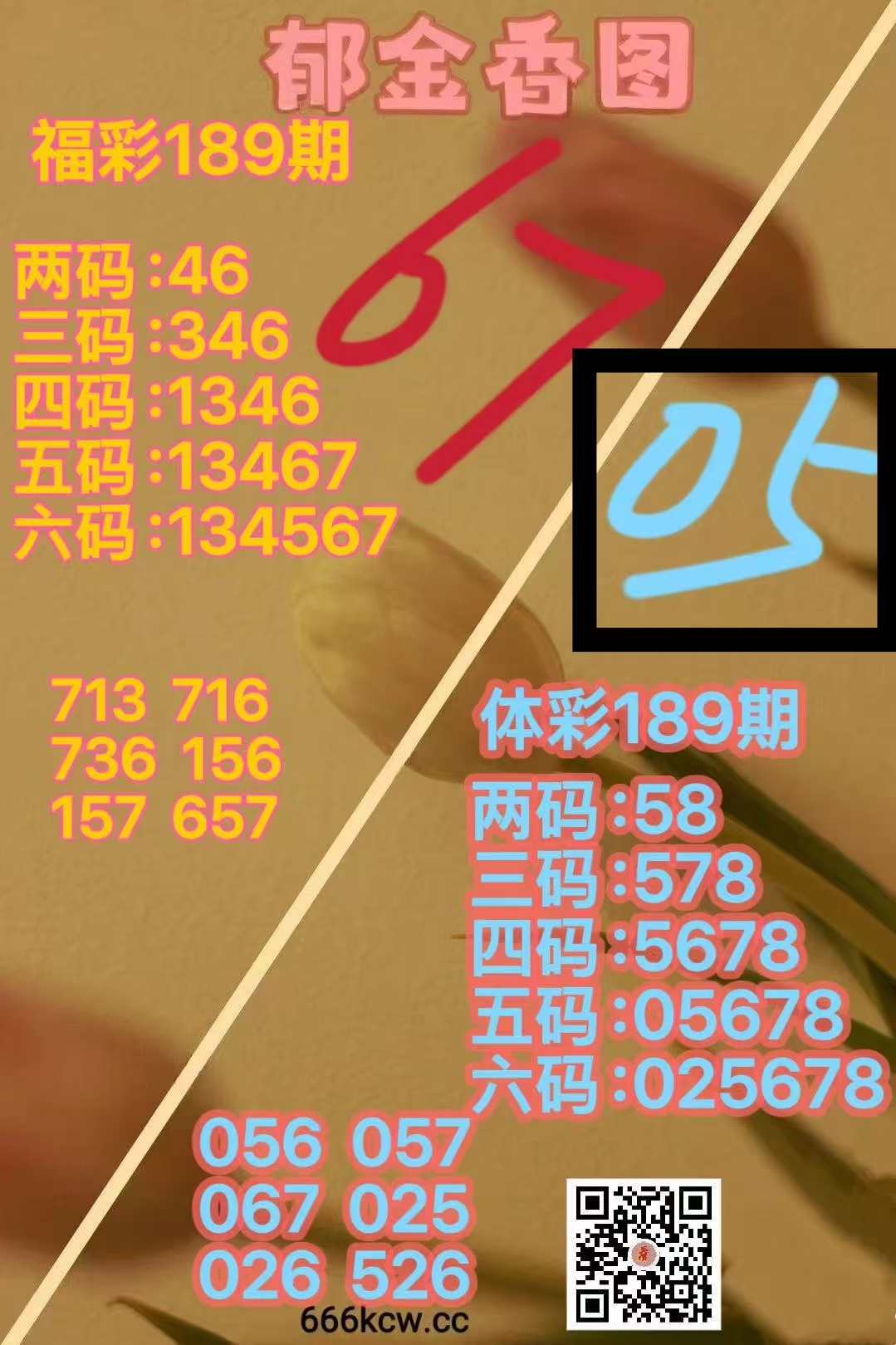 微信图片_20260718225952_52_1