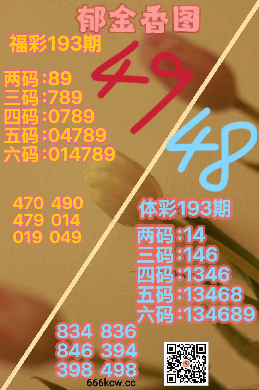mmexport1784710956877