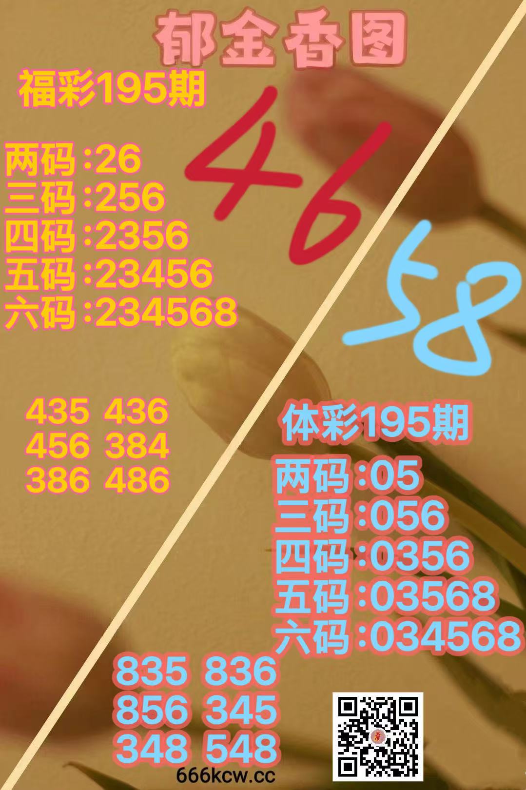 微信图片_20260724170058_175_38
