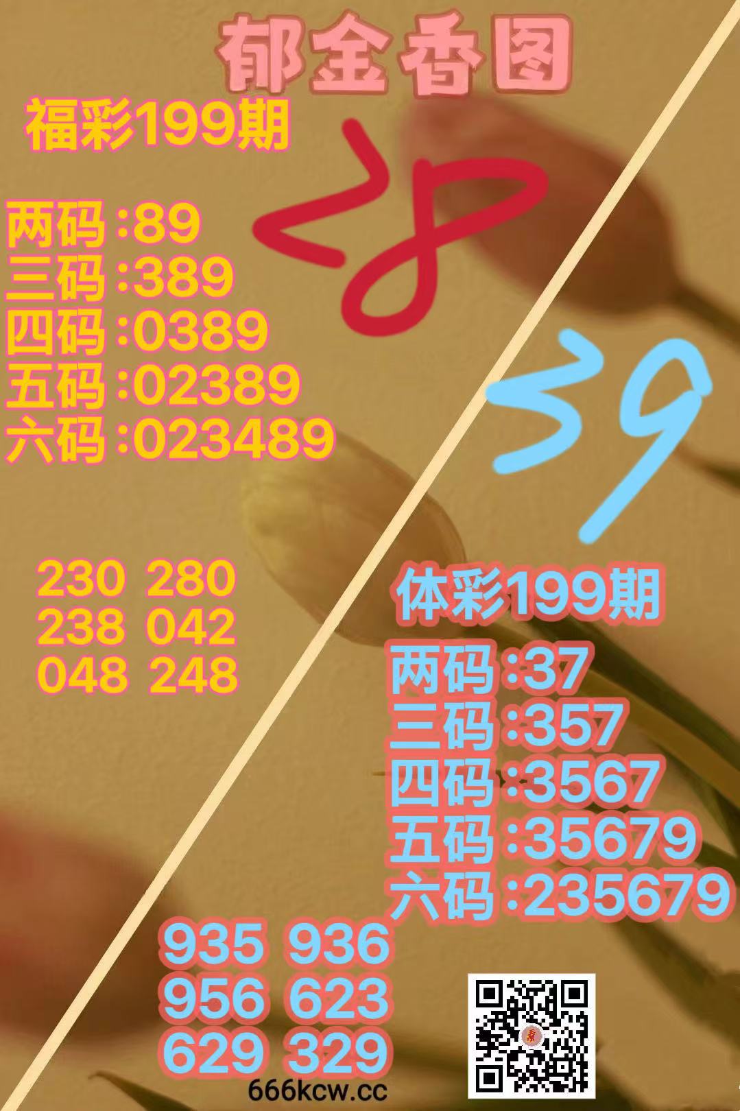 微信图片_20260728165235_443_38