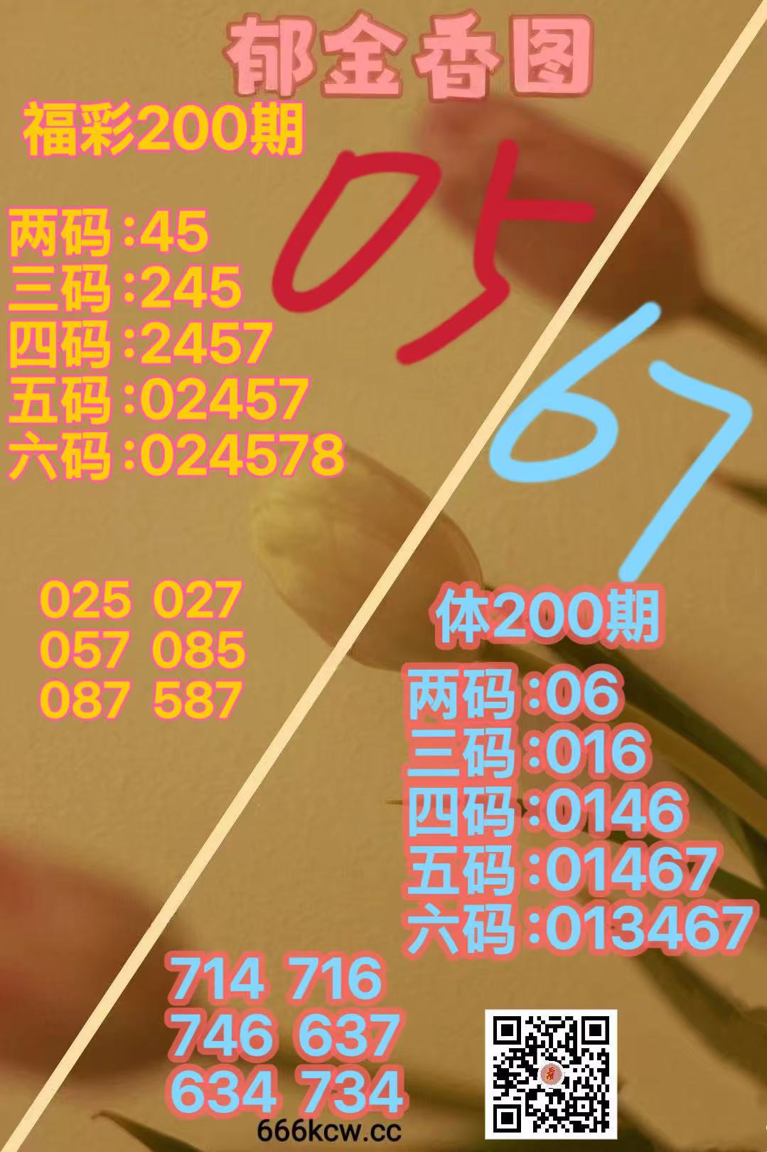 1000039681