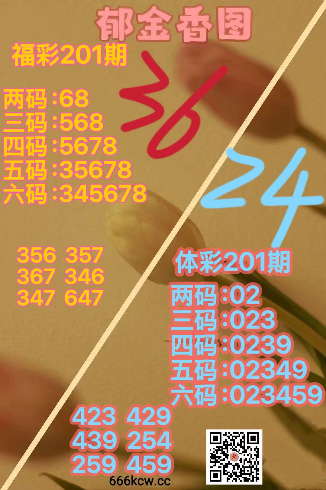 微信图片_20260730165022_815_38