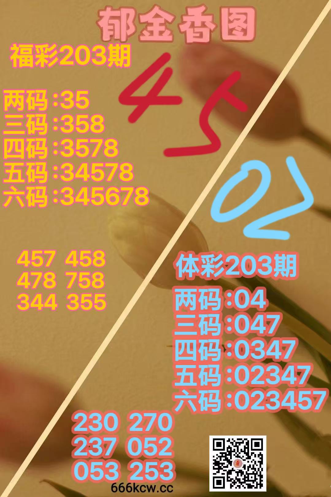 微信图片_20260801165035_843_38