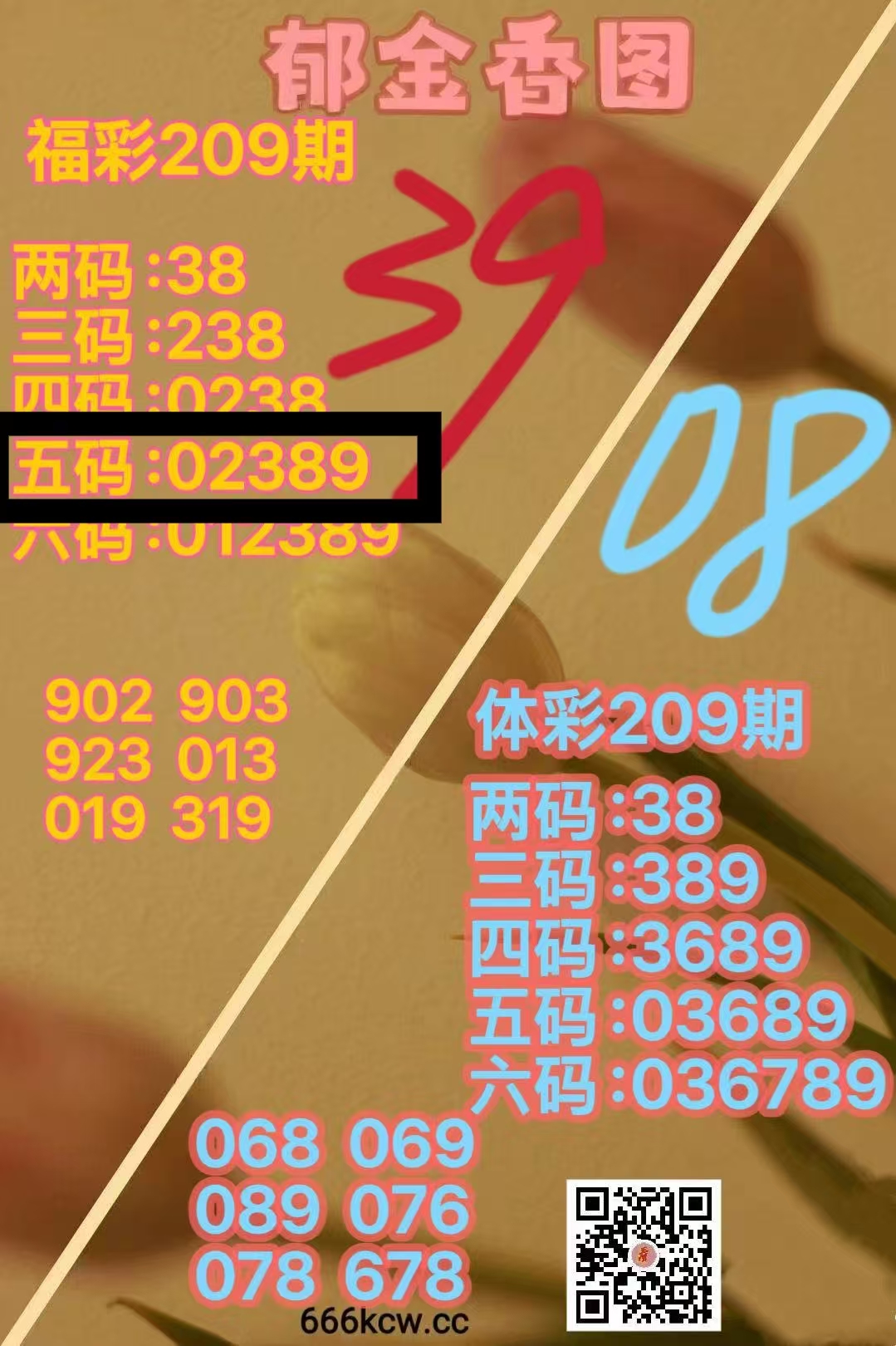 微信图片_20260807234709_667_2